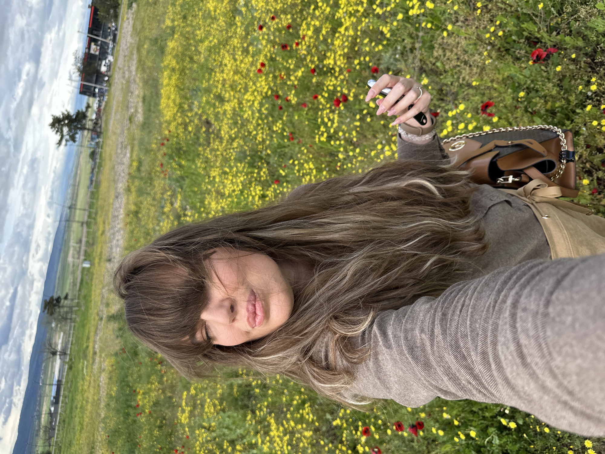 A woman is taking a selfie in a field of yellow and red wildflowers. She is wearing a brown shirt and carrying a brown purse with a gold chain. She has long, brown hair with blonde highlights and is pouting her lips towards the camera. In the background, there is a green field, a line of trees, and a cloudy sky. A sign can be seen along the road. The location is in Marneuli, Georgia.