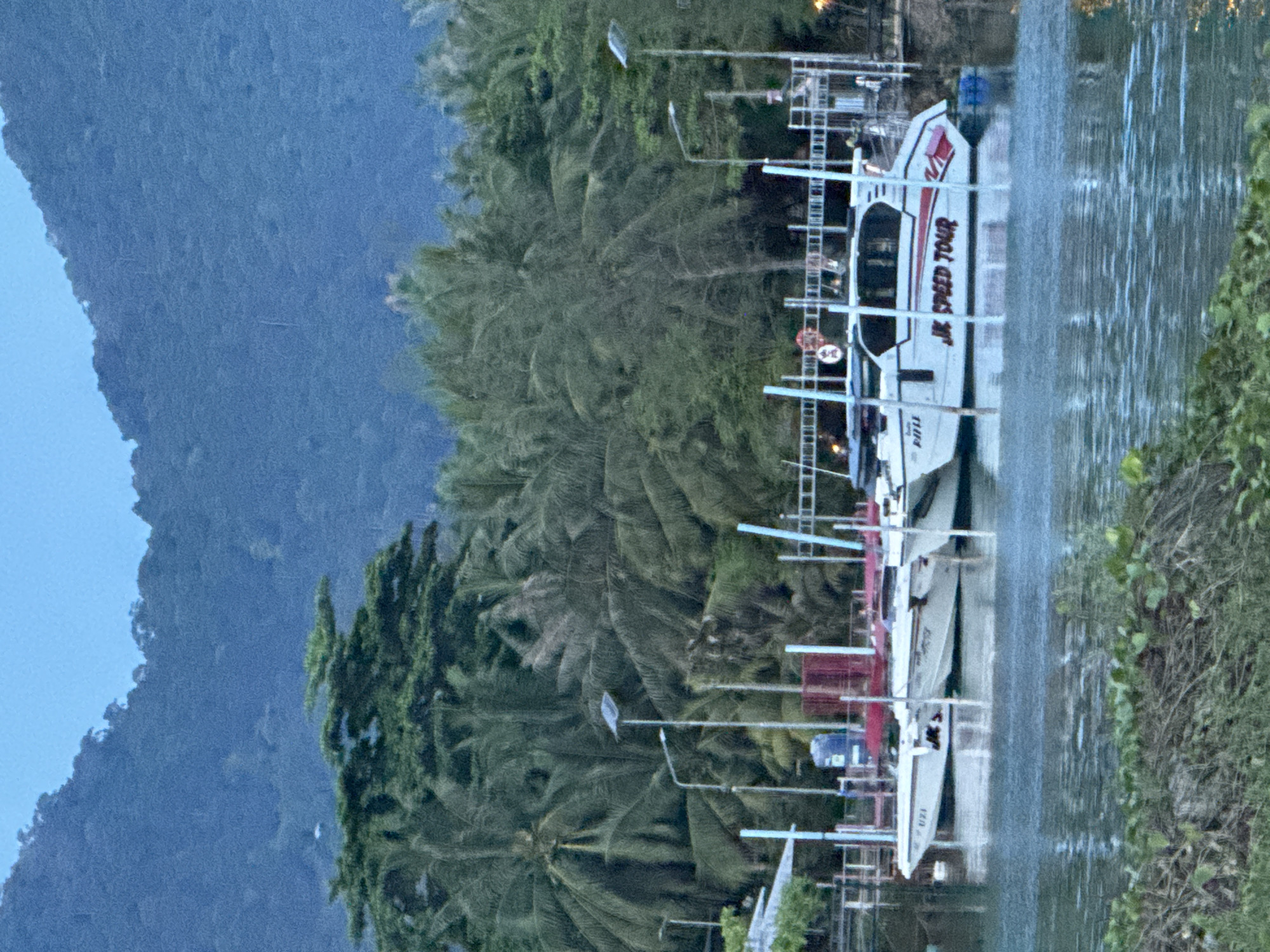 The image depicts a waterfront scene in Baan Tai, Thailand. Several white boats with "JR SPEED TOUR" lettering are docked along the water's edge. Palm trees and other lush vegetation line the shore, and a mountainous landscape is visible in the background. Street lamps illuminate the area. The water appears somewhat turbulent, possibly indicating recent rainfall.