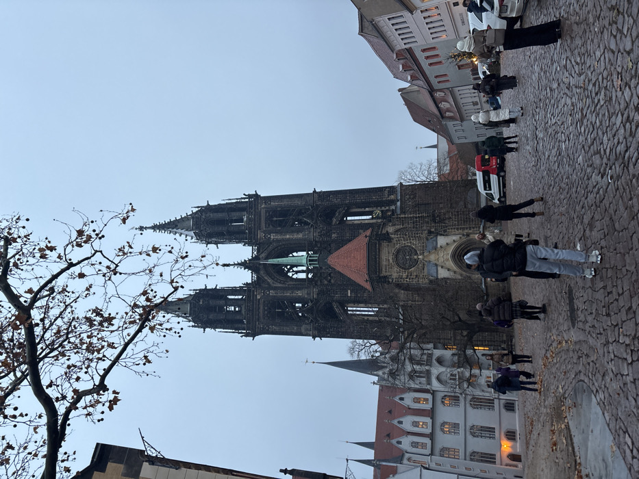 The image captures a cobblestone square in Meissen, Germany, prominently featuring the Meissen Cathedral and Albrechtsburg Castle under an overcast, light grey sky. The Meissen Cathedral, a dark stone Gothic structure, stands centrally in the background, characterized by its twin spires with intricate detailing, a prominent green central spire, and a lower section topped with a reddish-brown tiled roof. To the left of the cathedral is Albrechtsburg Castle, a multi-story building of lighter stone with numerous gabled roofs, dormer windows, and pointed turrets; interior lights are visible in some of its windows. A row of multi-story buildings with varying facades lines the right side of the square.
The ground consists of dark, irregular cobblestones, showing scattered brown leaves and indications of dampness. Approximately 15 to 20 individuals are present in the mid-ground and foreground, primarily clustered or walking on the cobblestones. All are dressed in heavy winter clothing, including coats, jackets, and hats, consistent with cold weather. Their actions appear observational or casual. One individual in the immediate foreground, with their back to the camera, wears a grey hoodie and grey sweatpants. A large, deciduous tree branch with bare twigs and dark seed pods extends across the upper left portion of the frame. A white van with red accent markings is parked on the right side of the square, with portions of two other white cars visible further right. The scene is illuminated by dim, ambient light, suggesting low light conditions.
