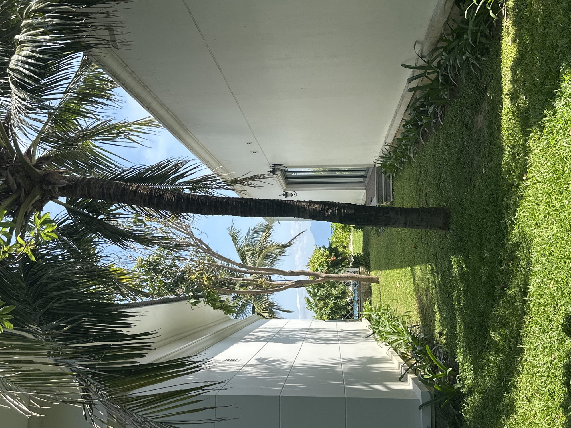 The image shows a view between two white buildings, revealing palm trees and greenery. The buildings appear modern with clean lines. The space between them is filled with lush grass and various plants. The image is taken outdoors, under what seems to be a bright, sunny sky. In the distance, a glimpse of the sky and potentially the ocean can be seen. The location is not identifiable in the city of Unknown, Unknown without further information.