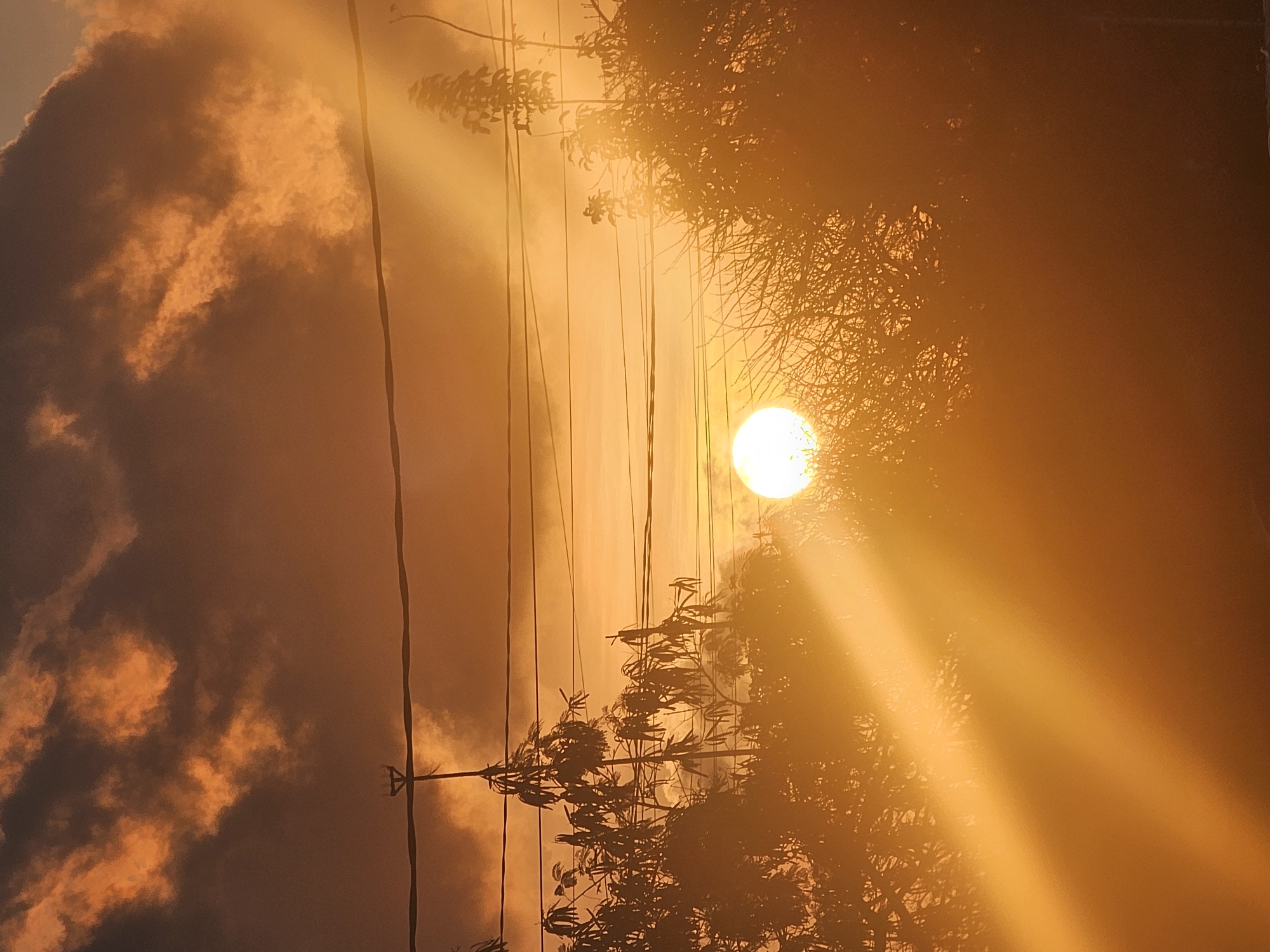 The image depicts a vibrant sunset over Denpasar, Indonesia. The sun, a bright orb, is low in the sky, casting a warm, golden light that illuminates the scene. Rays of light stream diagonally across the frame, highlighting the silhouettes of trees and branches. Overhead, power lines stretch horizontally across the sky, their dark lines contrasting with the fiery hues of the clouds. The clouds themselves are a mix of deep oranges and browns, with some areas catching the sunlight and appearing brighter. The overall impression is one of a serene, natural spectacle unfolding within the urban landscape of Denpasar.
