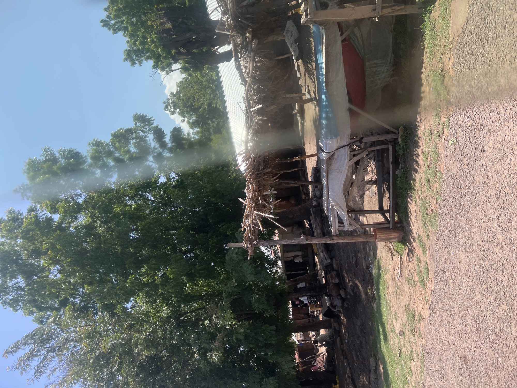 The image captures an outdoor scene in Balanga, Nigeria, under a bright, clear blue sky with sparse white cumulus clouds. Numerous large trees with dense green foliage dominate the left and upper portions of the frame, casting shadows. In the mid-ground, multiple rustic, open-sided structures constructed from wooden poles and thatched materials (appearing to be dried vegetation) are visible. Behind these, several buildings with reflective corrugated metal roofs are present, glinting in the sunlight.
The foreground consists of reddish-brown gravel, transitioning to an area of reddish dirt with scattered patches of green grass further back. Under the trees, the ground is darker soil, upon which several large, dark earthenware pots and logs of wood are arranged. Multiple individuals are present in the mid-ground: at least two are seated on the ground beneath the trees on the left, and another person in light attire stands near a building on the right.
A prominent structure in the mid-right consists of a wooden frame supporting a covering made of light blue and red tarps, functioning as a sheltered area or vendor stall. Near this structure, a small, upright wooden container rests on the ground. Distinct rays of sunlight are visible, particularly in the mid-right, traversing the air, suggesting atmospheric dust or a lens flare phenomenon. Shadows are sharp and relatively short, consistent with a sunny, mid-day setting.