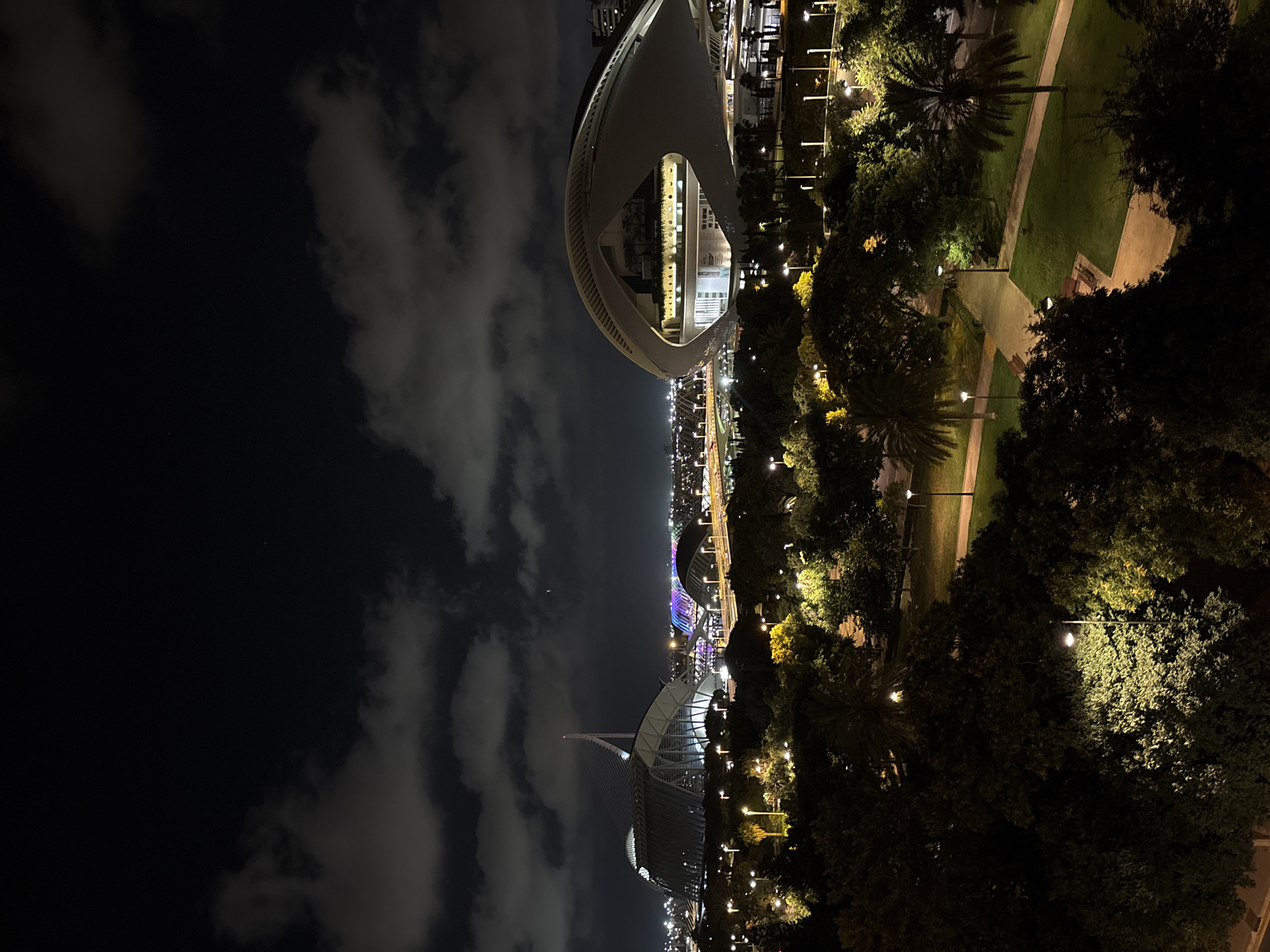 This image depicts a nighttime view of the City of Arts and Sciences in Valencia, Spain. The foreground is dominated by dark, leafy trees and parkland illuminated by scattered streetlights. In the midground, paved pathways and grassy areas are visible, with benches and lampposts providing light. The background features the distinctive architecture of the City of Arts and Sciences complex, including the Palau de les Arts Reina Sofía with its sail-like structure and the Hemisfèric with its eye-shaped design. Other illuminated structures and a colorful, arched bridge are also visible in the distance, along with a dark sky filled with scattered clouds. There are no people visible in the image.