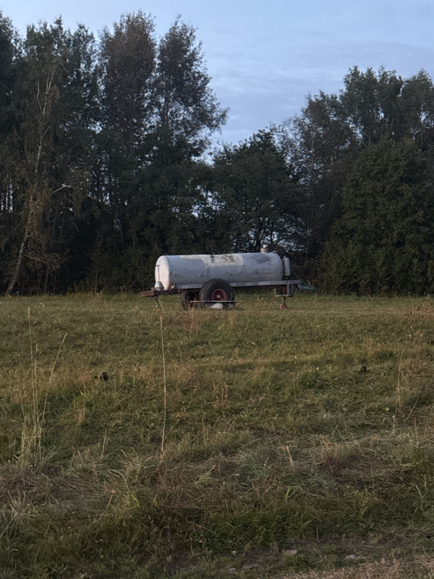 A horizontal, light-colored, cylindrical tank trailer rests on a grassy field. The trailer is supported by two wheels on the left and a single wheel or support on the right. The tank is grey and appears to have a lid or cap on top. The field is covered with dry, yellowed grass and some scattered green vegetation. A line of dark trees forms the background, with a pale, cloudy sky above. The scene is devoid of human presence. The image was taken in Galinė, Lithuania.