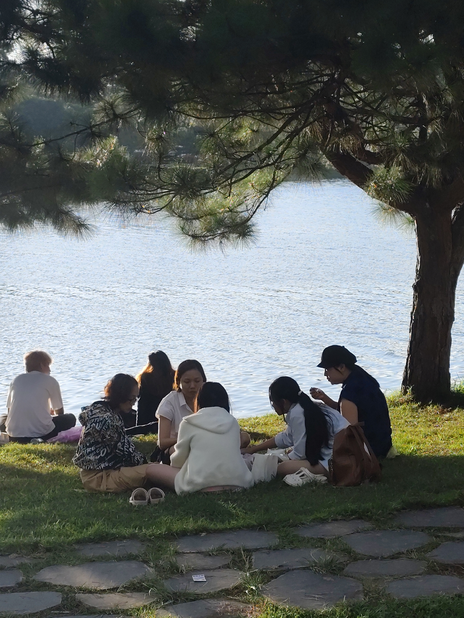 A group of six individuals, appearing to be young adults, are seated on a grassy area next to a body of water, beneath the shade of a large pine tree. The setting is likely a park or recreational area in Da Lat, Vietnam, suggested by the lush greenery, pine trees, and the general ambiance of a lakeside picnic.
The individuals are casually dressed. On the far left, a person with short, light-colored hair faces away from the camera, wearing a white t-shirt and dark pants. To their right, a person in a patterned hoodie and tan pants is seated, looking down. Next to them, two women are seated facing each other. One is wearing a white shirt, and the other a light-colored hoodie. Further to the right, a woman wearing a dark blue shirt and a black cap is interacting with a younger person who has long dark hair and is wearing a light blue shirt. This individual is looking down at something in their hands. A brown backpack is placed on the grass near them.
The environment consists of well-maintained green grass, a body of water with gentle ripples reflecting the sky, and the branches of a large pine tree with long needles providing shade. The ground in the foreground shows a path made of irregular stone slabs. The overall lighting suggests it is either early morning or late afternoon, with soft sunlight illuminating the scene. The individuals appear relaxed and engaged in conversation or shared activity, indicative of a leisurely outing.