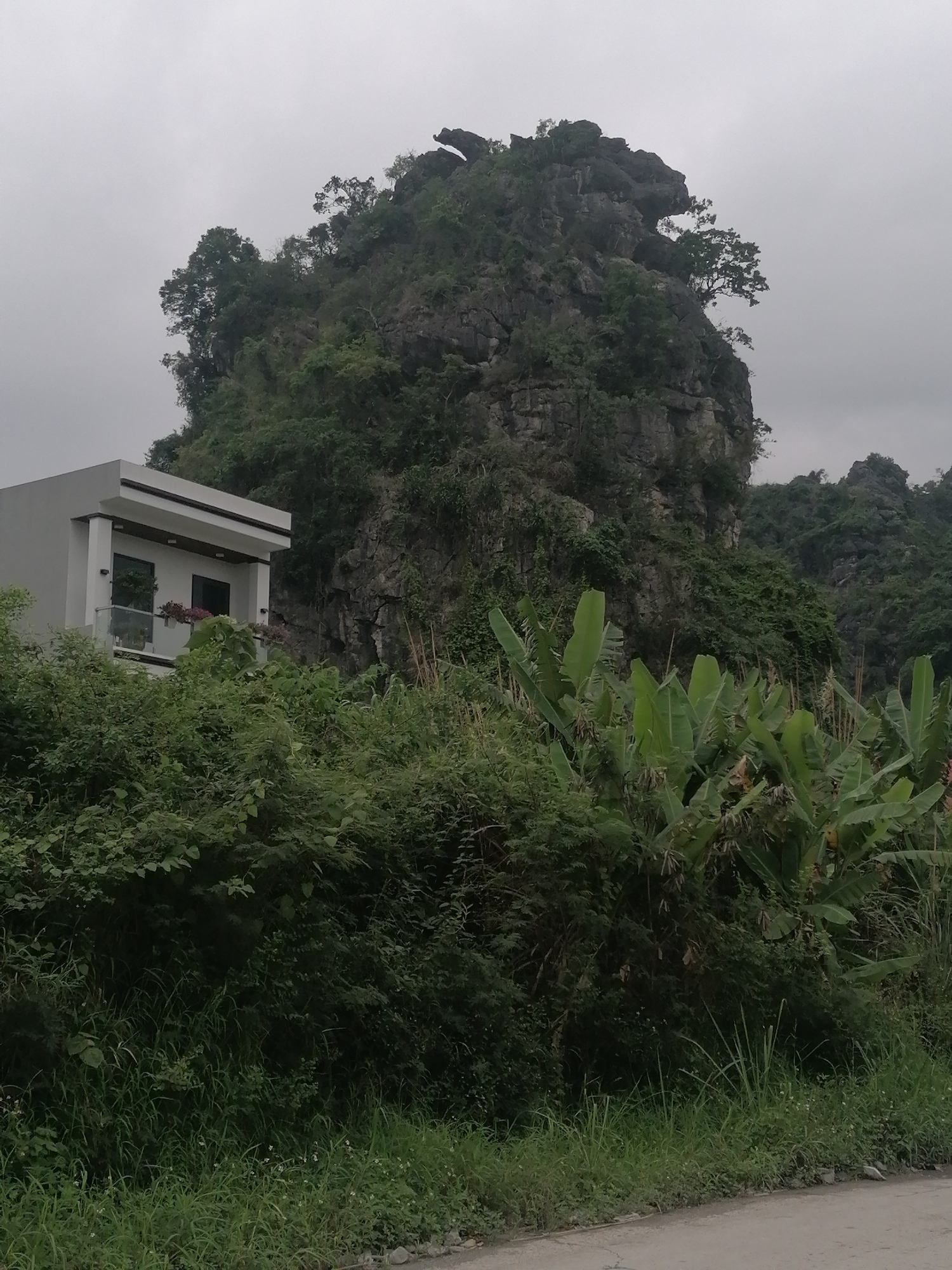 The image depicts a landscape in Ha Tu Ward, Vietnam, featuring a rocky, tree-covered mountain rising behind dense foliage. A modern, white two-story building with a balcony sits to the left, partially obscured by vegetation. Banana trees and tall grasses dominate the foreground. The sky is overcast. A road is visible in the lower right corner. No people are visible.