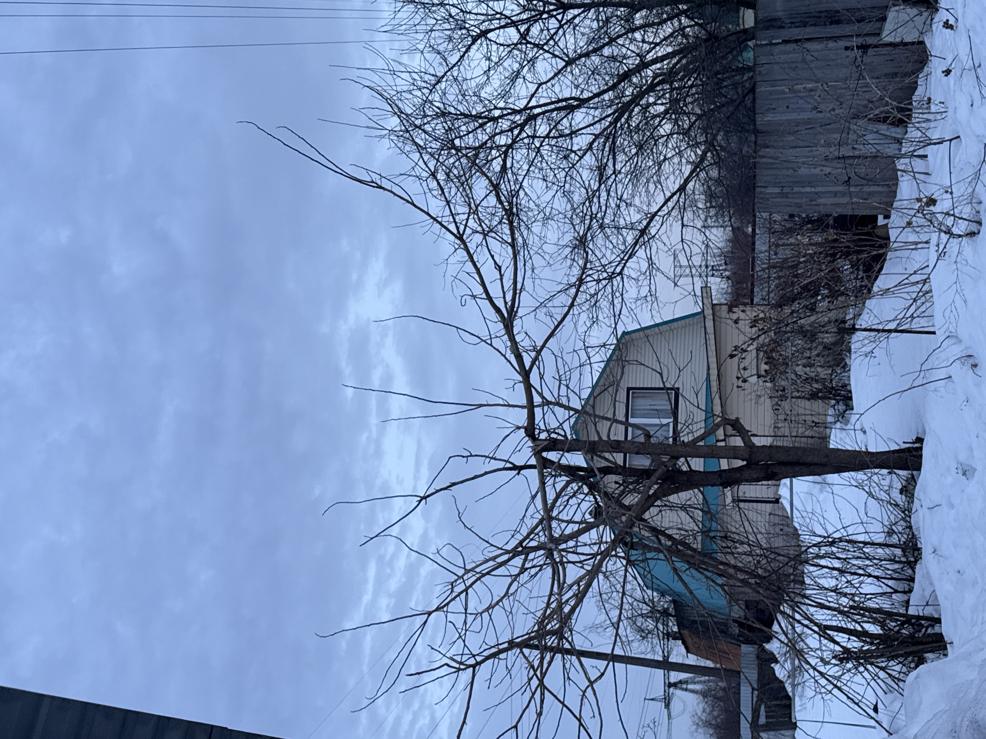 This image captures a winter residential scene in Chaikovsky, Russia, under an overcast sky. The foreground and midground are covered in fresh, undisturbed snow. A prominent, leafless deciduous tree with a dense network of slender, dark branches occupies the central foreground. To its right, a dark, weathered fence constructed from vertical planks or corrugated metal sheets defines a property boundary. In the midground, a two-story house features light-colored siding and a distinctive turquoise/teal gambrel roof. One dark-framed rectangular window is visible on the upper level of the house. Utility poles with multiple dark power lines traverse the upper portion of the frame, extending horizontally and vertically against the light grey, cloudy sky. Bare trees and dormant shrubs are scattered throughout the scene, and distant industrial-type structures or additional housing are faintly visible in the background. No individuals or active subjects are present. The lighting is uniform and diffused, consistent with an overcast winter day.