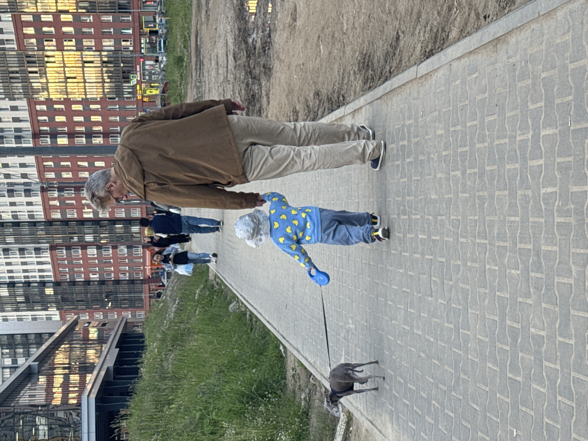 In an urban outdoor environment, a man with gray hair and glasses, wearing a brown jacket and tan pants, walks on a paved sidewalk. He is holding the hand of a young child wearing a light-colored hat and a blue long-sleeved shirt with yellow duck illustrations, as well as blue pants. The child is walking a small, gray dog on a leash. The dog appears to be an Italian Greyhound. In the background, there are tall, modern residential buildings with reflective windows. A grassy area is present to the left of the sidewalk, and a dirt patch with puddles is on the right. Several other pedestrians are visible further down the sidewalk, walking away from the camera. The lighting suggests it is late afternoon or early evening.