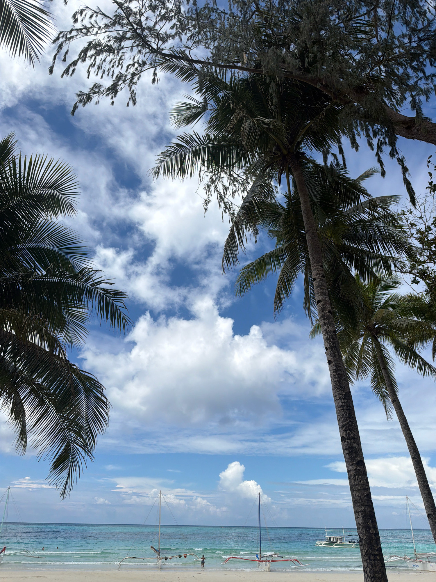 The image depicts a tropical beach scene in Malay, Philippines, likely Boracay Island given the presence of traditional outrigger boats. The foreground is dominated by the fronds and trunks of several tall palm trees, their leaves casting shadows on the sand. Beyond the trees, a white sandy beach stretches towards the turquoise ocean. Several outrigger boats, known as paraws, are docked on the shore and floating in the shallow water. A few people are visible on the beach and in the water, engaged in recreational activities. The sky is a bright blue, punctuated by fluffy white clouds, suggesting pleasant weather. The overall impression is one of a serene and idyllic beach paradise.