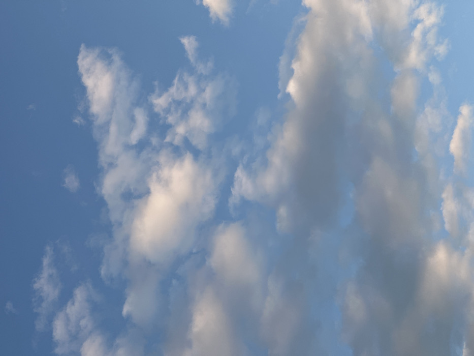 The image displays a clear blue sky populated by scattered cloud formations, observed over Vila Real, Portugal. Clouds vary in morphology, predominantly appearing as cumulus and stratocumulus types. Their coloration ranges from brilliant white, marked by warm light exposure, to various shades of light and dark grey where shadowing or increased density occurs. The upper portion of the frame shows a deeper blue sky with fewer, smaller clouds, transitioning to a more heavily clouded lower section. No terrestrial features, man-made objects, individuals, or vegetation are visible. The subject matter is exclusively atmospheric.