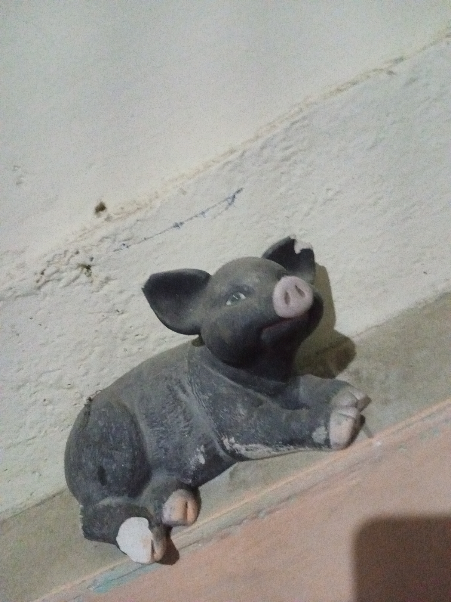 A dusty, dark-colored, possibly ceramic or plaster, pig figurine is lying on a shelf against a white wall. The pig is facing forward with a pink nose and light-colored hooves. The wall is textured with visible imperfections. The location is Palo Negro, Venezuela.