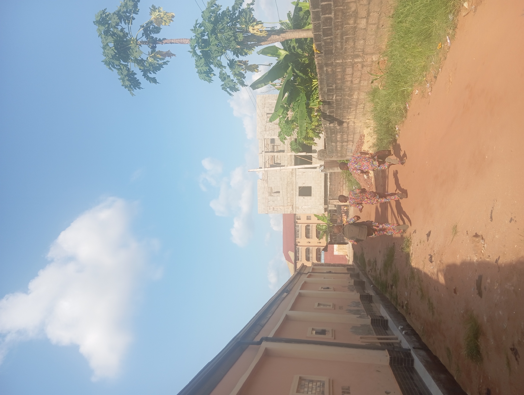 The image shows a street in Nkpor, Nigeria. The street is unpaved and lined with buildings of varying heights and construction stages. On the right side, there is a brick wall with grass growing along the top. A group of people, possibly uniformed, are walking along the side of the road next to the wall. A papaya tree and banana plants are visible behind the wall. On the left side, there is a light-colored building with visible windows. In the background, there is an unfinished concrete building. The sky is blue with scattered white clouds.