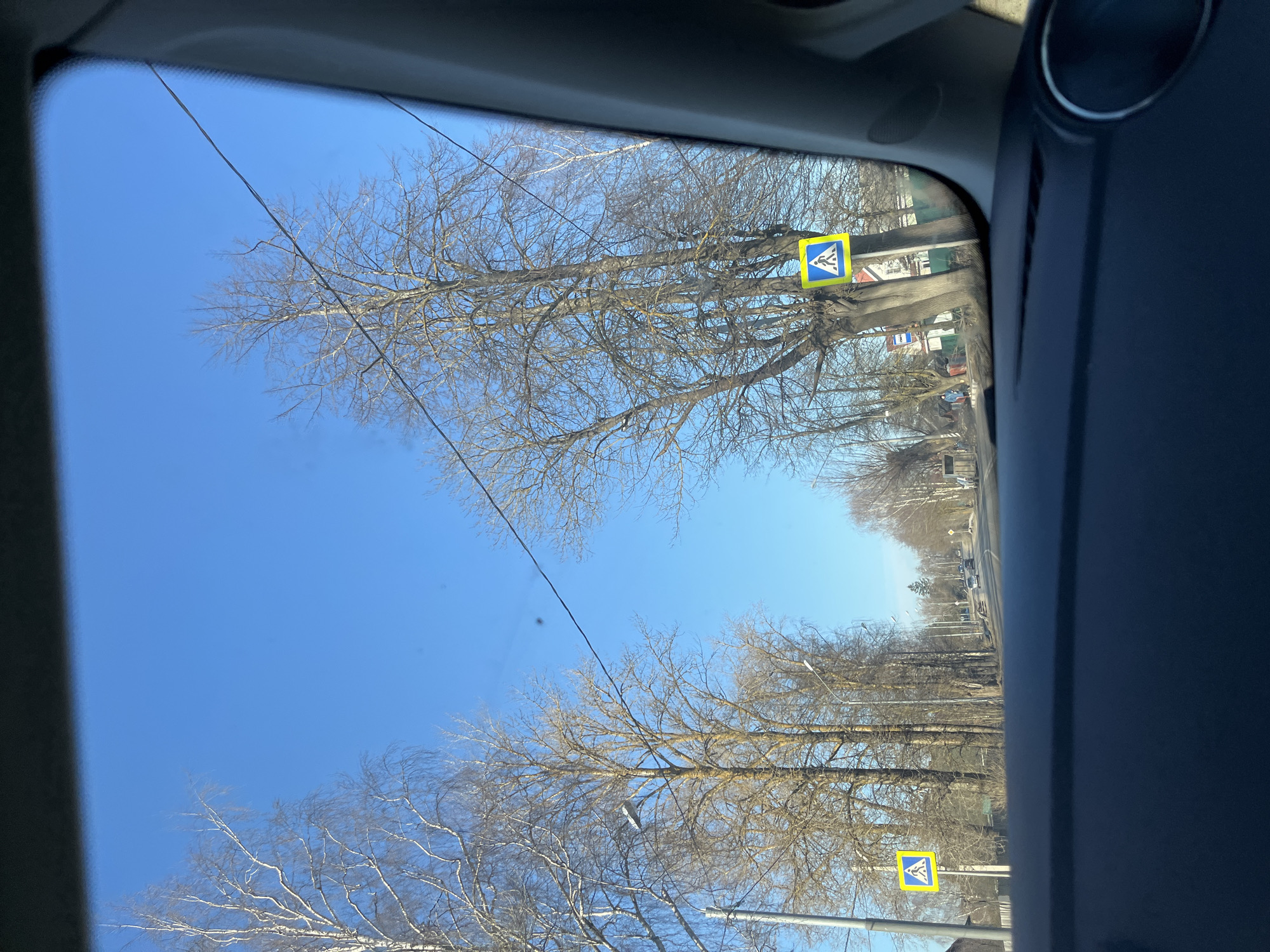 The image depicts a street scene in Maksimkovo, Russia, viewed from inside a vehicle looking through the windshield. The upper portion of the frame is dominated by a clear, bright blue sky. The lower foreground shows the vehicle's dark dashboard and a portion of the right A-pillar. A paved road, appearing to be two lanes wide, recedes into the distance, with several vehicles visible in the far distance traveling away from the camera's perspective. Bare deciduous trees, stripped of their foliage, line both sides of the road, with multiple streetlights interspersed among them. Overhead power lines traverse the upper mid-section of the scene. Two identical yellow square road signs, each featuring a black border and a white pedestrian symbol indicating a pedestrian crossing, are visible: one on the left side of the road and another on the right. A single individual, dressed in blue outerwear, is observed walking on the right side of the road in the distance, past the pedestrian crossing sign. Partially obscured buildings are visible behind the trees and along the road edges.