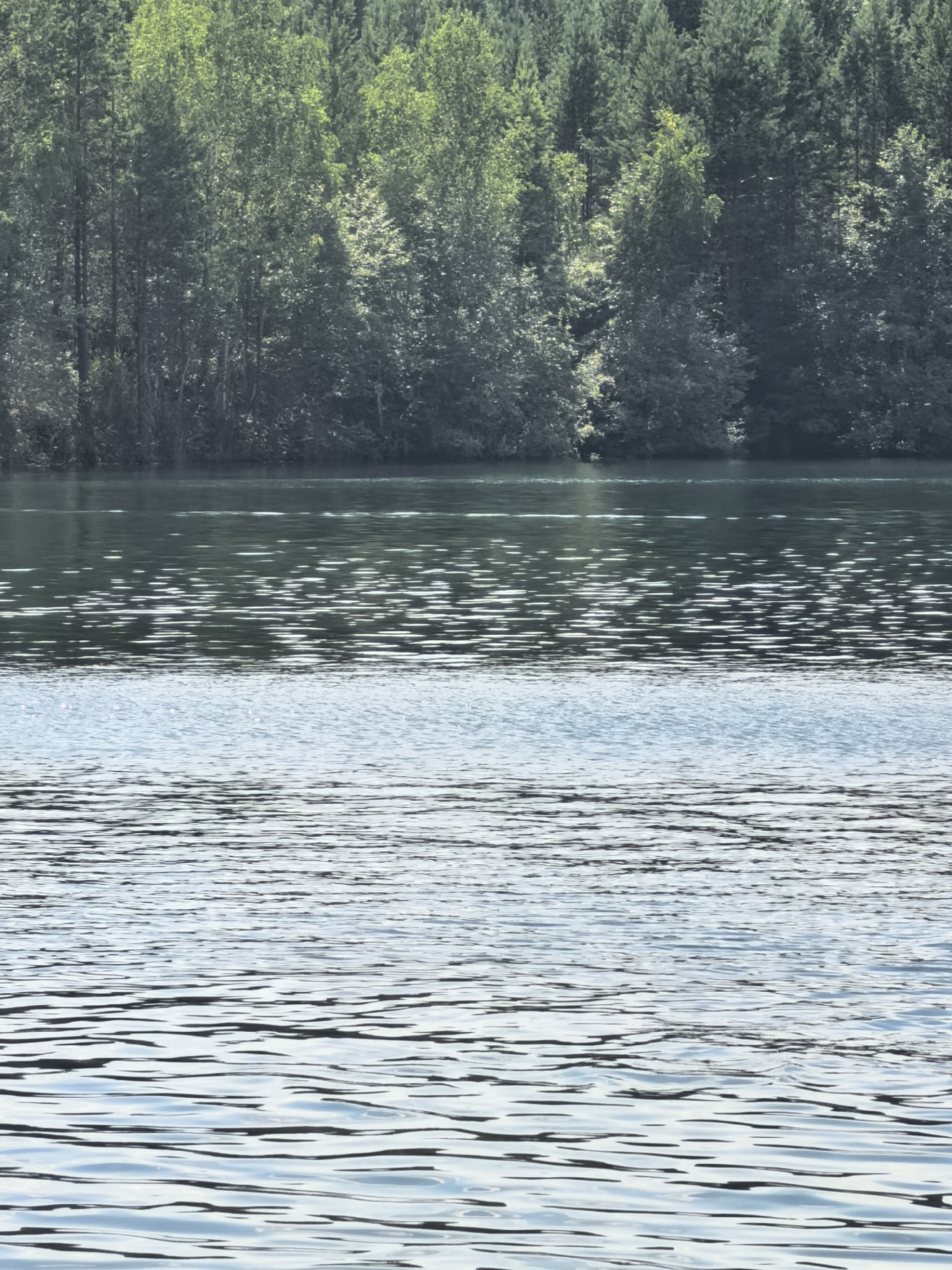 This image shows a body of water in front of a dense forest. The water has ripples on its surface, and the trees in the background are lush and green. There are no people or man-made objects visible in the image. The location is likely in or near the city of Asbest, Russia, given the context of the image's origin. The scene depicts a natural environment.