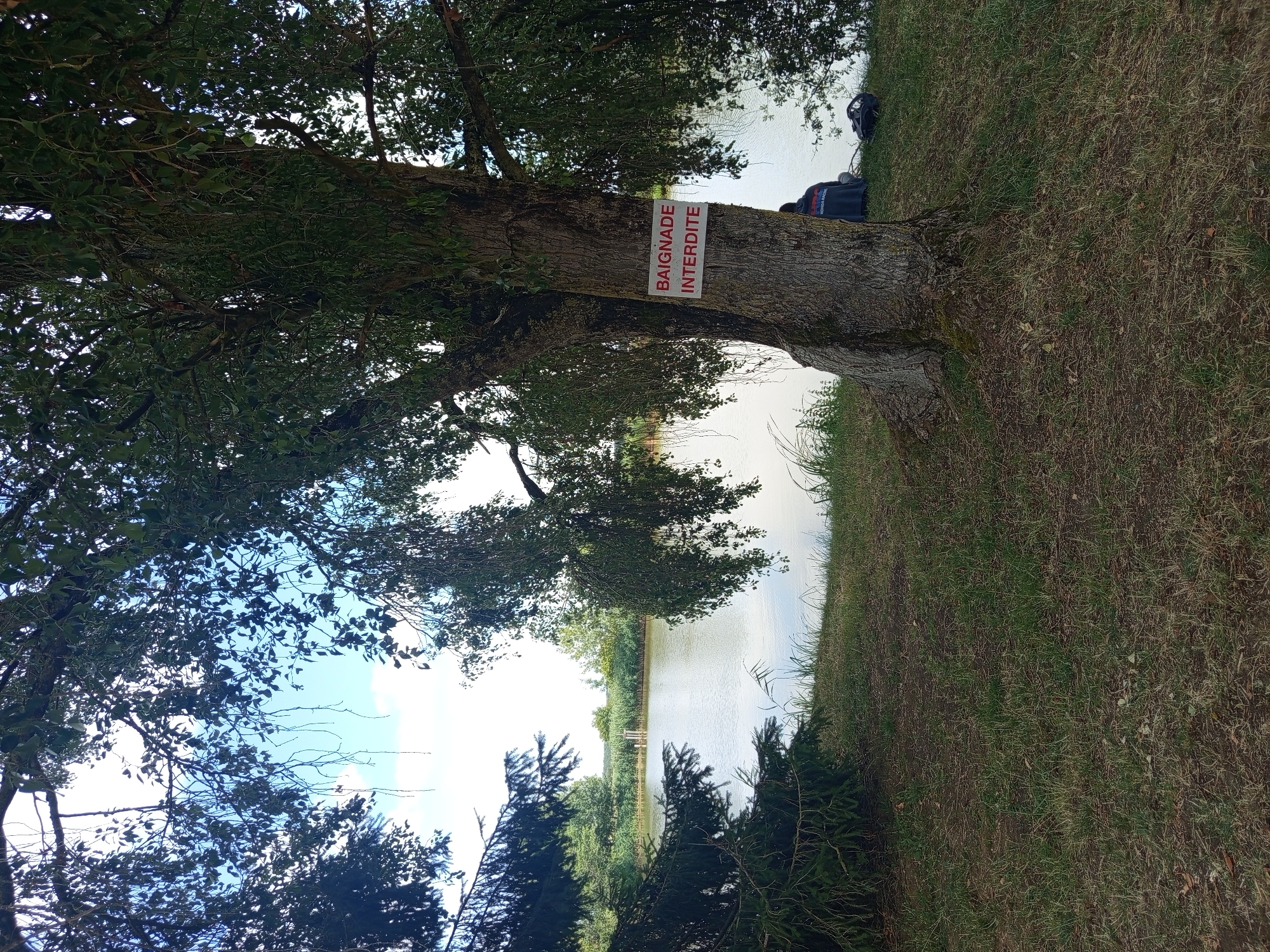 The image depicts a natural outdoor scene, likely near the city of Azannes-et-Soumazannes, France, featuring a body of water, vegetation, and a large tree. In the foreground, a substantial tree trunk is visible, with a red and white sign attached to it that reads "BAIGNADE INTERDITE," indicating that swimming is prohibited. To the right of the tree, a person is seated on the grassy bank facing the water, wearing a dark hooded jacket with "HONDA RACING" visible on the back. A black backpack or bag is placed on the ground next to them. The water body, possibly a pond or lake, occupies the mid-ground of the image. The background consists of dense green vegetation, reeds along the water's edge, and trees under a partly cloudy blue sky. The overall environment suggests a peaceful, albeit restricted, recreational area.
