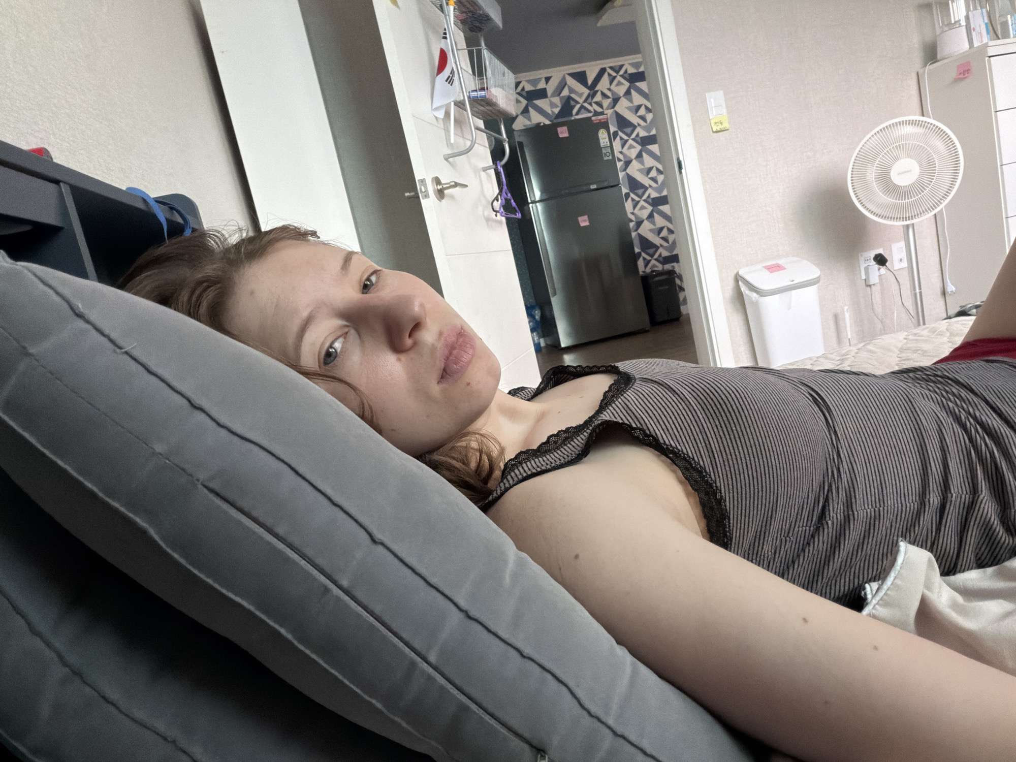 A young Caucasian woman is lying on her side in what appears to be a bedroom in an apartment in Dongducheon-si, South Korea. She is looking towards the camera with a neutral expression. The woman has light brown hair and is wearing a gray and black striped tank top with black lace trim. She is lying on a gray pillow, with a light-colored blanket visible.
In the background, a doorway leads to another room. Through the doorway, a silver refrigerator is visible, along with a blue and white geometric patterned wallpaper. On the wall to the right of the doorway, there is a white oscillating fan plugged into a wall socket. Adjacent to the fan, there is a white trash can with a pink lid. Further to the right, a white dresser or cabinet is partially visible. On the wall above the trash can and fan, there are electrical outlets and yellow and white stickers. To the left of the doorway, a dark blue shelf unit is visible, with a blue strap and some other objects on it. A white doorframe with a silver doorknob is also visible. A small Korean flag hangs from a shelf unit in the doorway.