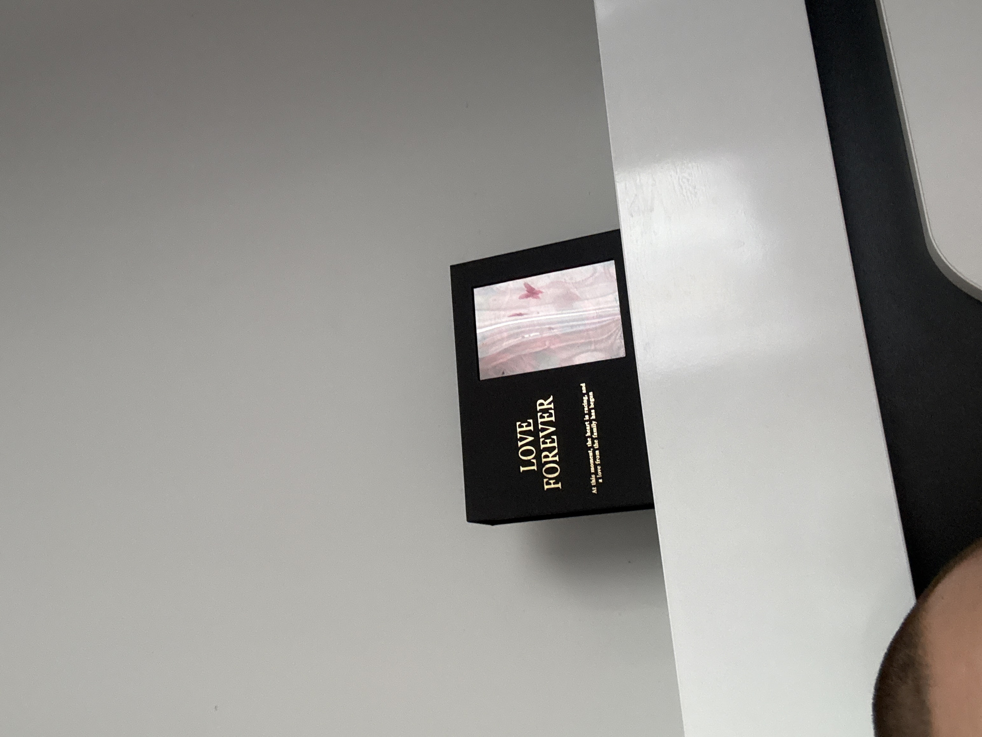 A close-up, slightly Dutch-angled indoor shot features a black rectangular box against a light grey wall. The box has a transparent window revealing a soft pink or red, possibly fabric or petals, within. Gold-colored text is prominently displayed on the side of the box, reading "LOVE FOREVER." Below this, in smaller text, it states: "At this moment, the heart is racing, and a love from the family has begun." To the right of the box, a vertical white panel, possibly a door frame or architectural feature, separates the wall from a darker area further right. The bottom right corner of the image shows the top and side of a person's head, with short hair, suggesting an observer. The lighting appears to be ambient indoor light. The location is Stara Zagora, Bulgaria.