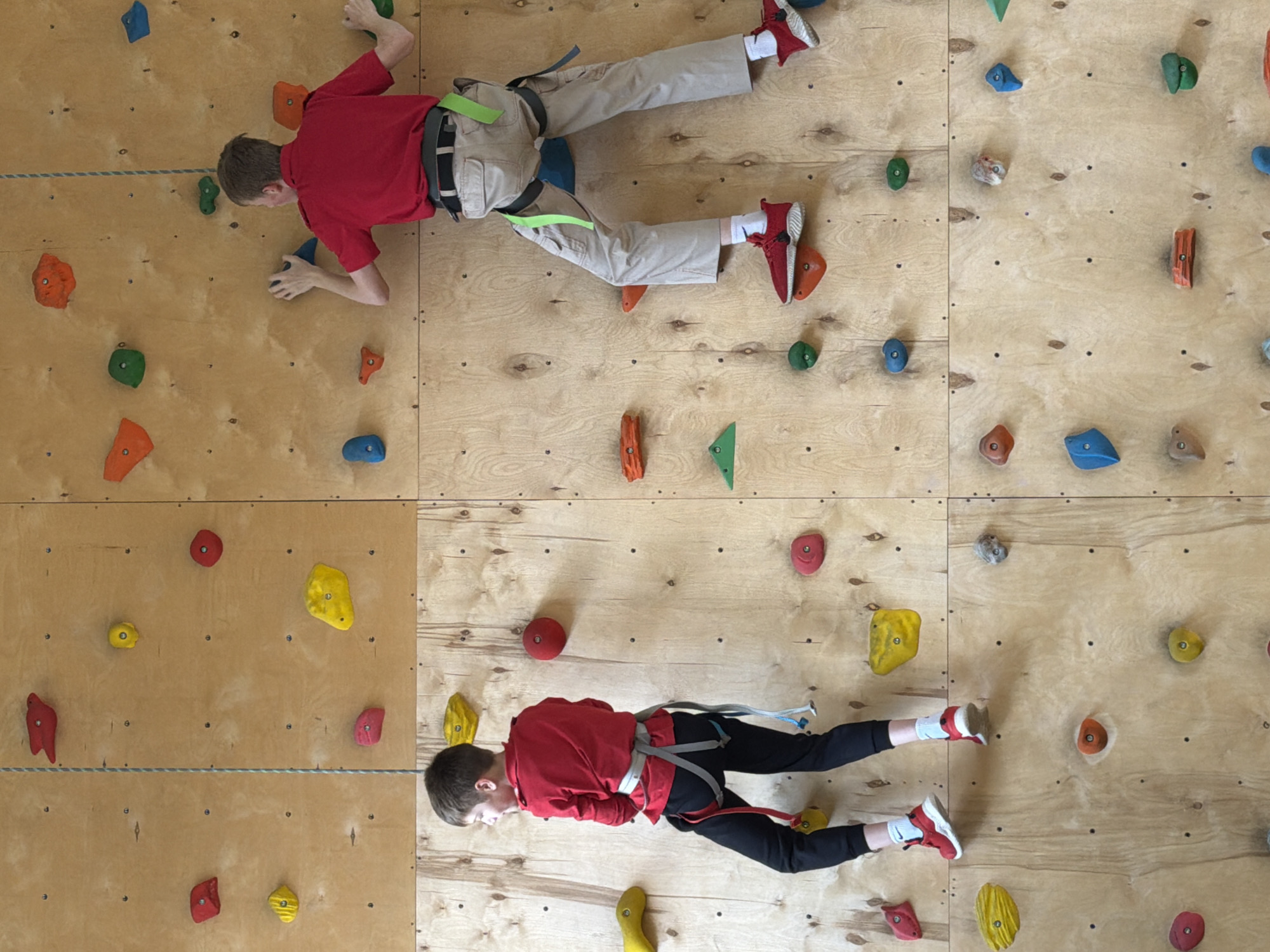 The image presents a top-down view of an indoor climbing wall, depicting two individuals engaged in bouldering. The wall is constructed from light-colored wooden plywood panels, dotted with numerous bolt holes for attaching climbing holds.
In the upper half of the frame, a person with short brown hair, wearing a red short-sleeved shirt, beige cargo pants, and red sneakers with white socks, is positioned horizontally on the wall. They are secured by a black and green climbing harness. Their hands are gripping blue and green holds, while their feet are placed on orange and red holds, suggesting active movement across the wall.
In the lower half of the frame, another person, also with short brown hair, is similarly positioned horizontally. They are wearing a red long-sleeved top, black pants, and red sneakers with white socks, and are attached to a grey, black, blue, and red climbing harness. Their hands are on yellow and red holds, and their feet are on red and yellow holds.
Colorful climbing holds of various shapes and sizes—including red, orange, yellow, green, blue, and grey—are distributed across the wooden surface. A thin grey rope or cord runs horizontally across the center of the image, appearing to be part of the wall's structure or a marked route. The lighting is even, typical of an indoor facility. The scene depicts a recreational or training activity at an indoor climbing gym, located in Izhevsk, Russia. No visible text is present.