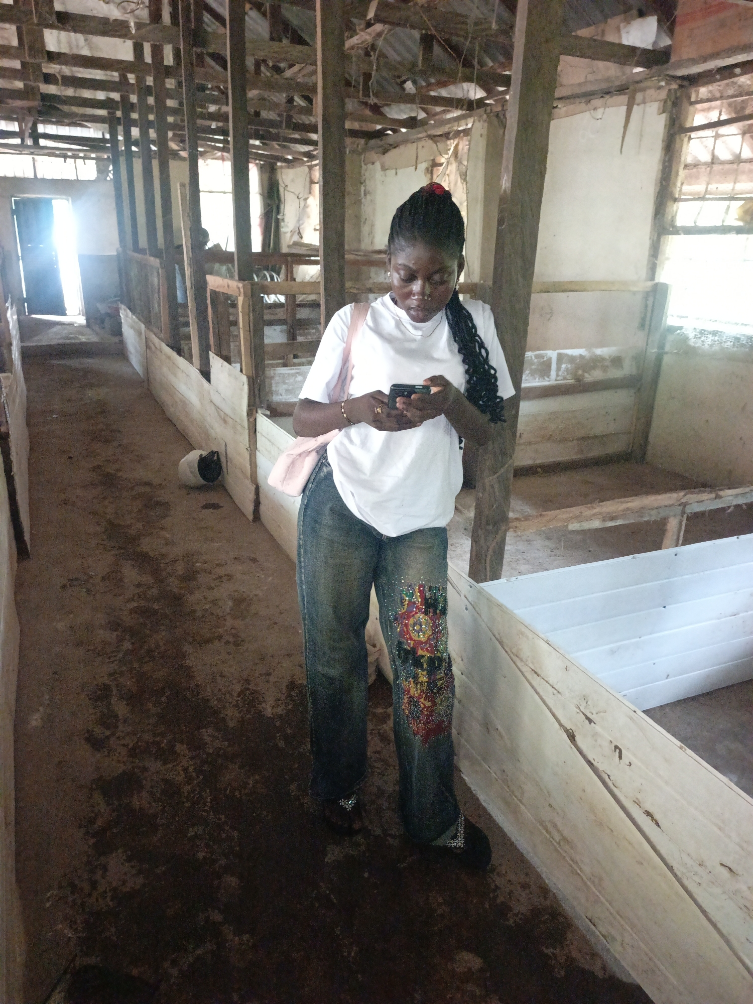A young Black woman stands in a dimly lit, dilapidated wooden structure. She is wearing a white t-shirt, blue jeans with colorful embellishments on the legs, and dark sandals. She holds a smartphone in her hands and appears to be looking at it. The structure features wooden beams, posts, and partitions, suggesting it might be an animal enclosure or barn. The floor is dirt and appears damp and stained. In the background, a white and black animal, possibly a piglet, is visible. Sunlight streams in from an open doorway on the left side of the image. The overall environment suggests a rural or impoverished setting.
