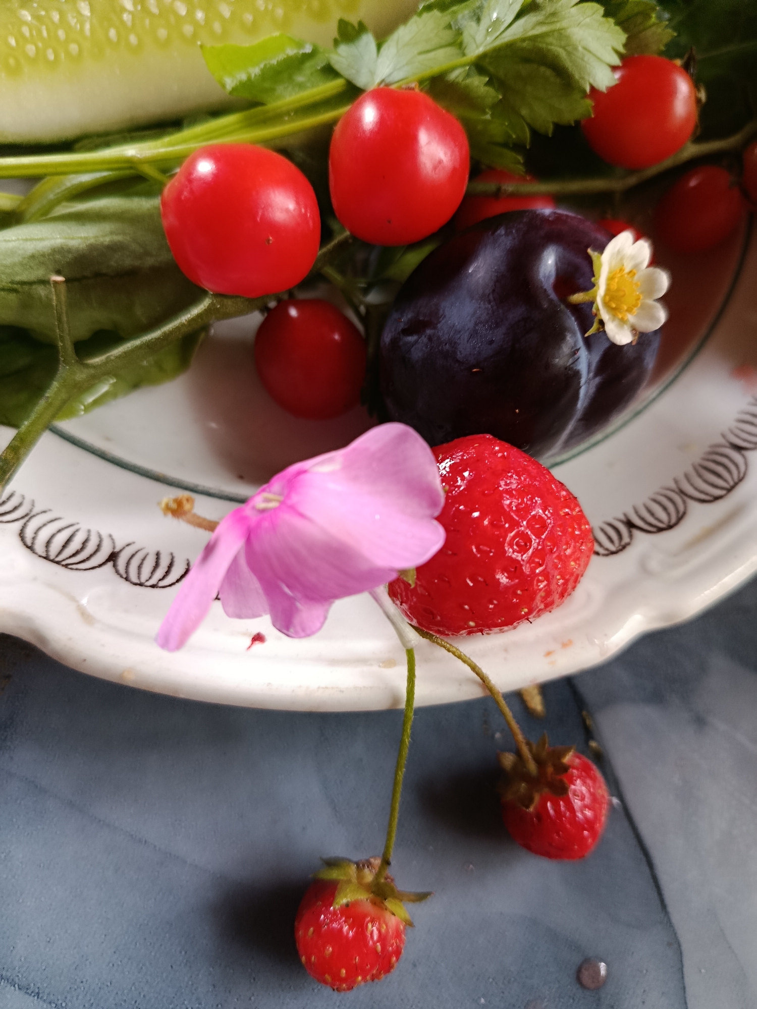 The image displays a close-up, overhead shot of a collection of fruits and vegetables arranged on a white ceramic plate with a decorative rim. The plate rests on a dark blue, textured surface. The foreground is dominated by a light pink flower with delicate petals and a prominent stamen, its stem extending downwards. To the right of the flower is a ripe red strawberry with visible seeds. Further down, another smaller strawberry is also visible. In the background, on the plate, are several red cherry tomatoes, a dark purple plum with a tiny white flower attached, and a slice of cucumber. Green leaves and stems are interspersed among the fruits. The overall impression is one of a fresh, vibrant still life, possibly suggesting a meal or a collection of garden produce. No specific location in Verea, Russia is discernible from the image.