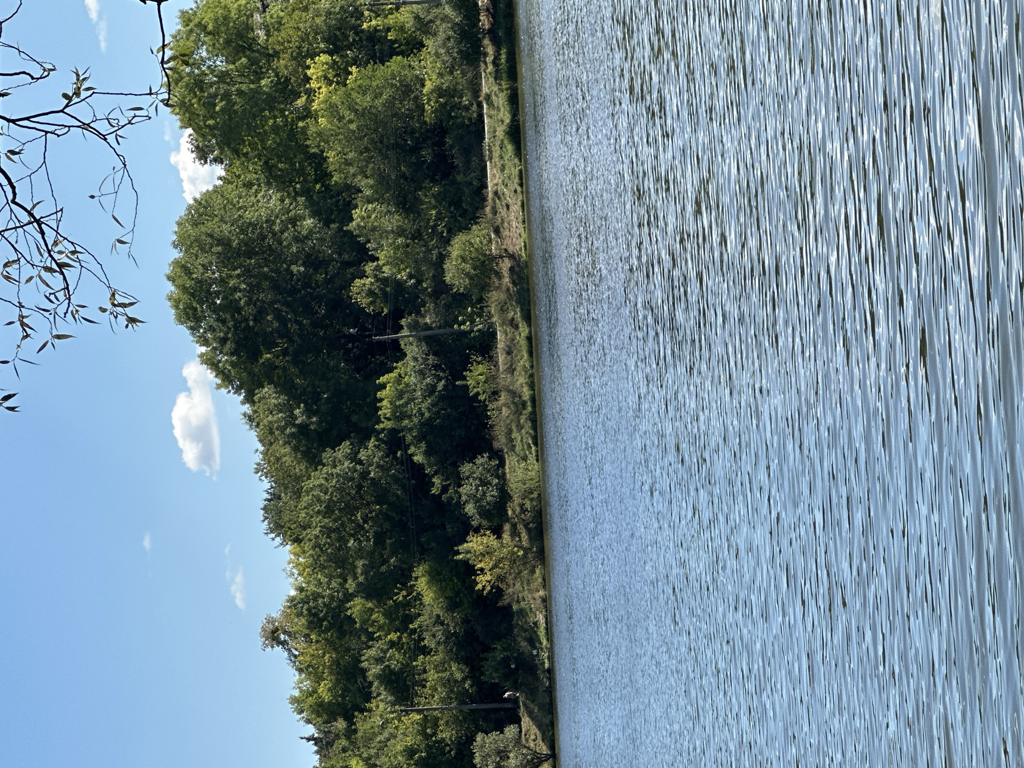 The image depicts a tranquil natural scene on a sunny day, featuring a body of water in the foreground and a densely wooded hillside in the background. The water's surface is rippled, suggesting a gentle breeze. The hillside is covered with a variety of trees, predominantly green, with some hints of yellow foliage, indicating a transition into autumn. The sky is a clear blue with scattered white clouds.
A path or road is visible running along the base of the hillside, just above the water's edge. A single person, appearing as a small figure in the distance, is standing on this path. The setting appears to be a park or a natural reserve. This location is identified as being within the city of Makiv, Ukraine.