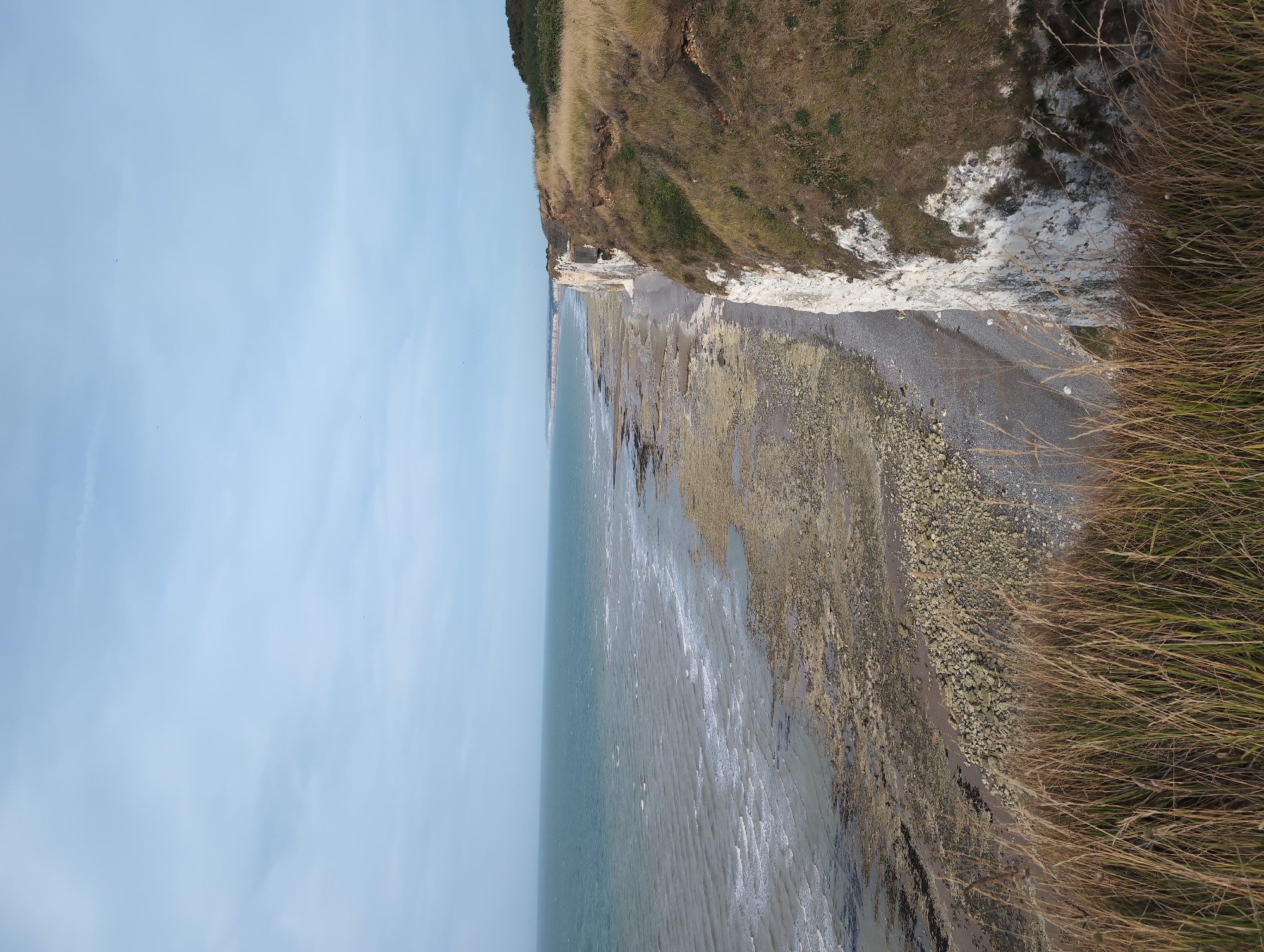 The image depicts a coastal scene at low tide along the cliffs of Saint-Valery-en-Caux, France. A vast expanse of choppy, grey-green water stretches towards the horizon under a pale blue sky with scattered wispy clouds. The sea meets a rocky and pebbly shore that is exposed by the receding tide, revealing patches of wet sand and seaweed. Dominating the right side of the frame are imposing white chalk cliffs, their sheer faces marked with dark patches of soil and vegetation. The cliff tops are covered in dry, golden grasses and patches of green undergrowth, suggesting a somewhat arid environment. In the foreground, tall, dry grasses extend into the frame, adding a sense of depth and natural texture. The overall atmosphere is one of natural coastal beauty, with no people or man-made structures visible in the immediate vicinity.