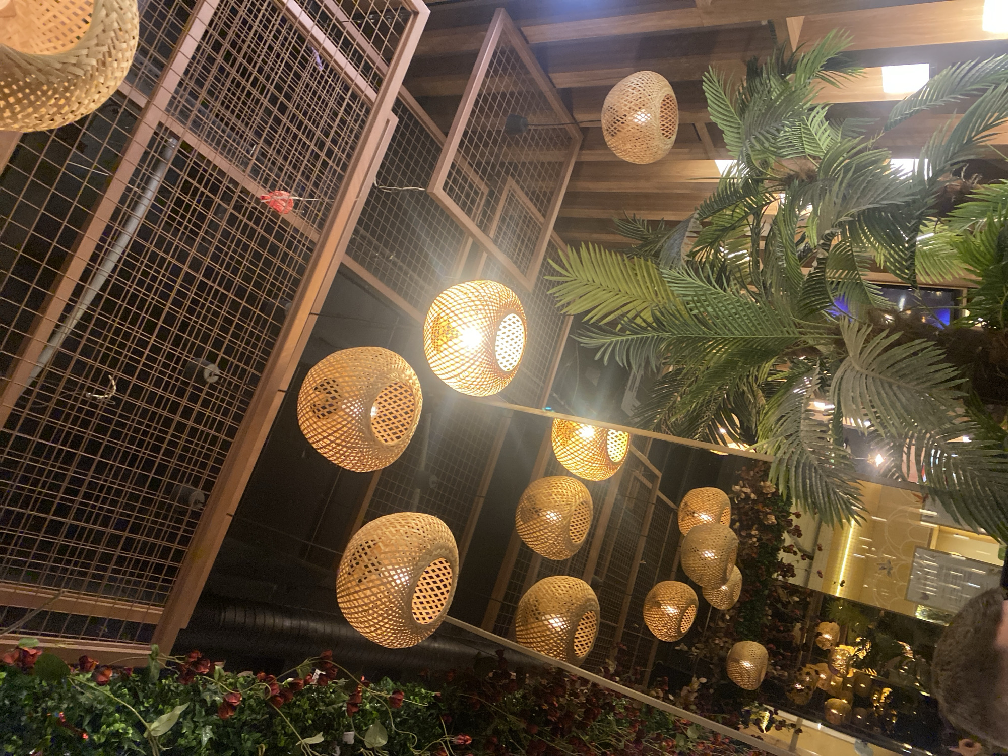 The image depicts an interior scene, identified as Chef's Restaurant in Sofia, Bulgaria. The primary focus is the ceiling and upper decorative elements of a commercial establishment.
Numerous spherical pendant light fixtures, constructed from woven bamboo or rattan, are suspended at various heights across the frame, emitting a warm, amber light. The ceiling is dark and industrial, with exposed utilities, partially obscured by a decorative grid structure made of light-colored metal with square mesh panels. A small, red, flag-like decorative object hangs from this grid.
Artificial green foliage, resembling vines with clusters of small red berries or flowers, drapes from the upper left. In the mid-ground and right foreground, large artificial palm plants with prominent green fronds are visible. The wall on the right features vertical wooden slat paneling. A large mirror on the left reflects additional interior elements, including more lights and foliage, and a blurred background area with what appears to be an arched decorative feature. The top of a person's dark-haired head is visible in the lower-left corner of the foreground. The overall environment presents a modern, tropical-themed setting with ambient lighting.