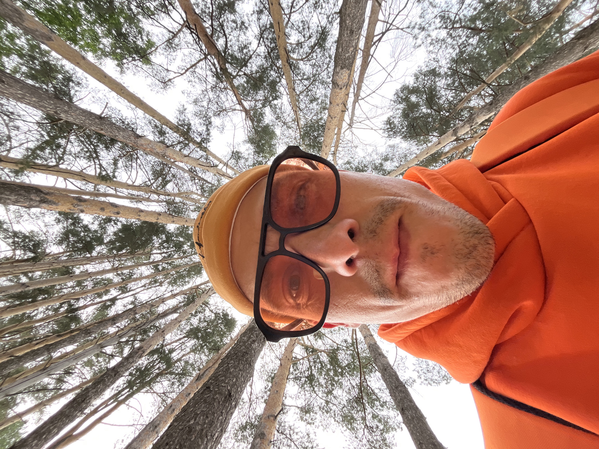 A man is featured in a close-up, low-angle selfie, looking down towards the camera with a neutral expression. He is wearing a mustard yellow beanie or cap and a bright orange hooded sweatshirt. Black-framed sunglasses with reddish-tinted lenses cover his eyes, reflecting the overhead light. Stubble is visible on his chin and cheeks.
The activity appears to be taking a self-portrait from a unique "worm's-eye" perspective, capturing both himself and the towering forest canopy above.
The background consists of a dense forest viewed from directly below. Numerous tall, slender tree trunks, consistent with conifers like pines, rise vertically towards a bright, overcast sky. The branches, some with green foliage and others appearing bare, crisscross against the diffused white sky, suggesting a cool or transitional season. The light is soft and even, indicating an overcast day. This outdoor scene is set in a wooded area, specifically within the region of Chaikovsky, Russia. There is no visible text in the image.