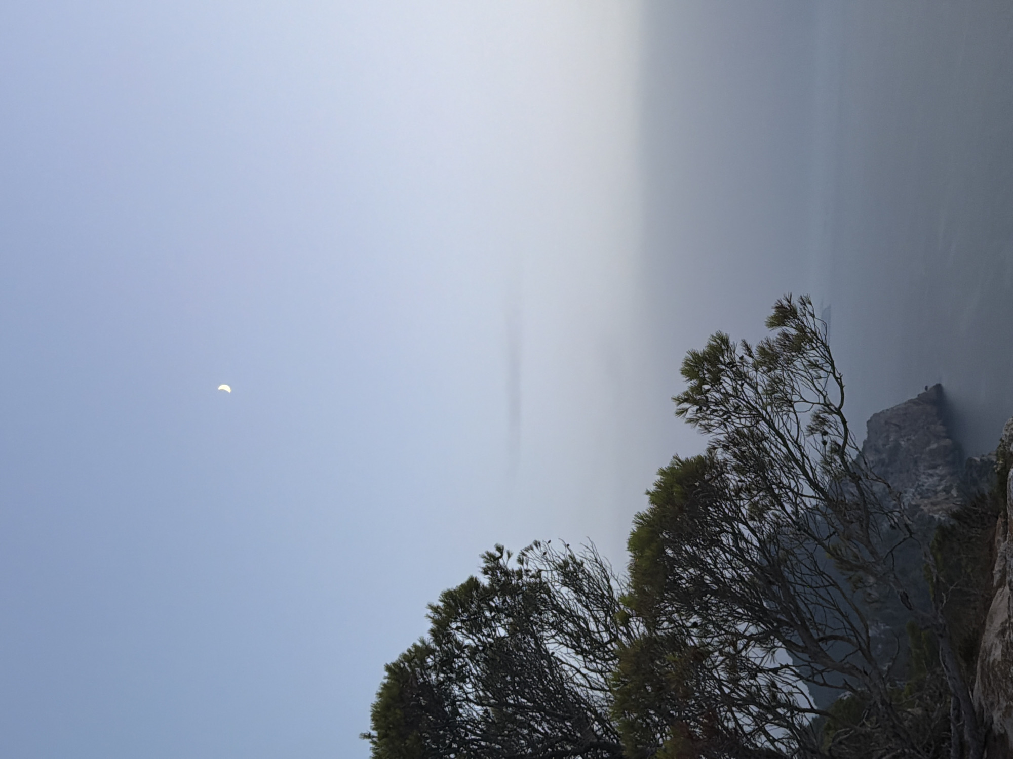 The image depicts a serene twilight scene on the coast, likely near Sant Antoni de Portmany, Spain. In the upper portion of the frame, a pale crescent moon is visible against a clear, light blue sky. The middle ground is dominated by the silhouette of a rugged coastline and the dark, textured branches of a pine tree in the foreground. The sea below is a muted grey, with a light haze or fog softening the horizon. The overall impression is one of quiet natural beauty, possibly at dawn or dusk, with no human presence or activity evident.