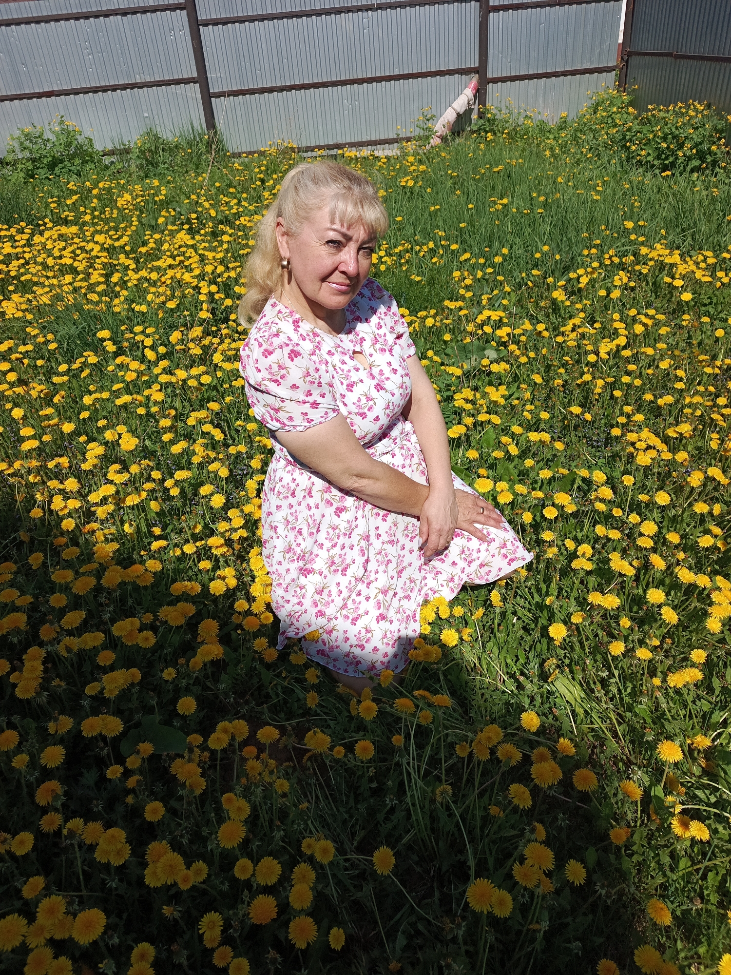 A mature Caucasian woman is kneeling in a field of dandelions in Chaikovsky, Russia. She wears a white, knee-length dress with a small pink floral print. Her blonde hair is pulled back and partially styled. The woman looks directly at the camera. Behind her is a corrugated metal fence. The field stretches out behind her, full of yellow dandelions and tall green grass. The scene is brightly lit, with some shadows on the dandelions closest to the camera.