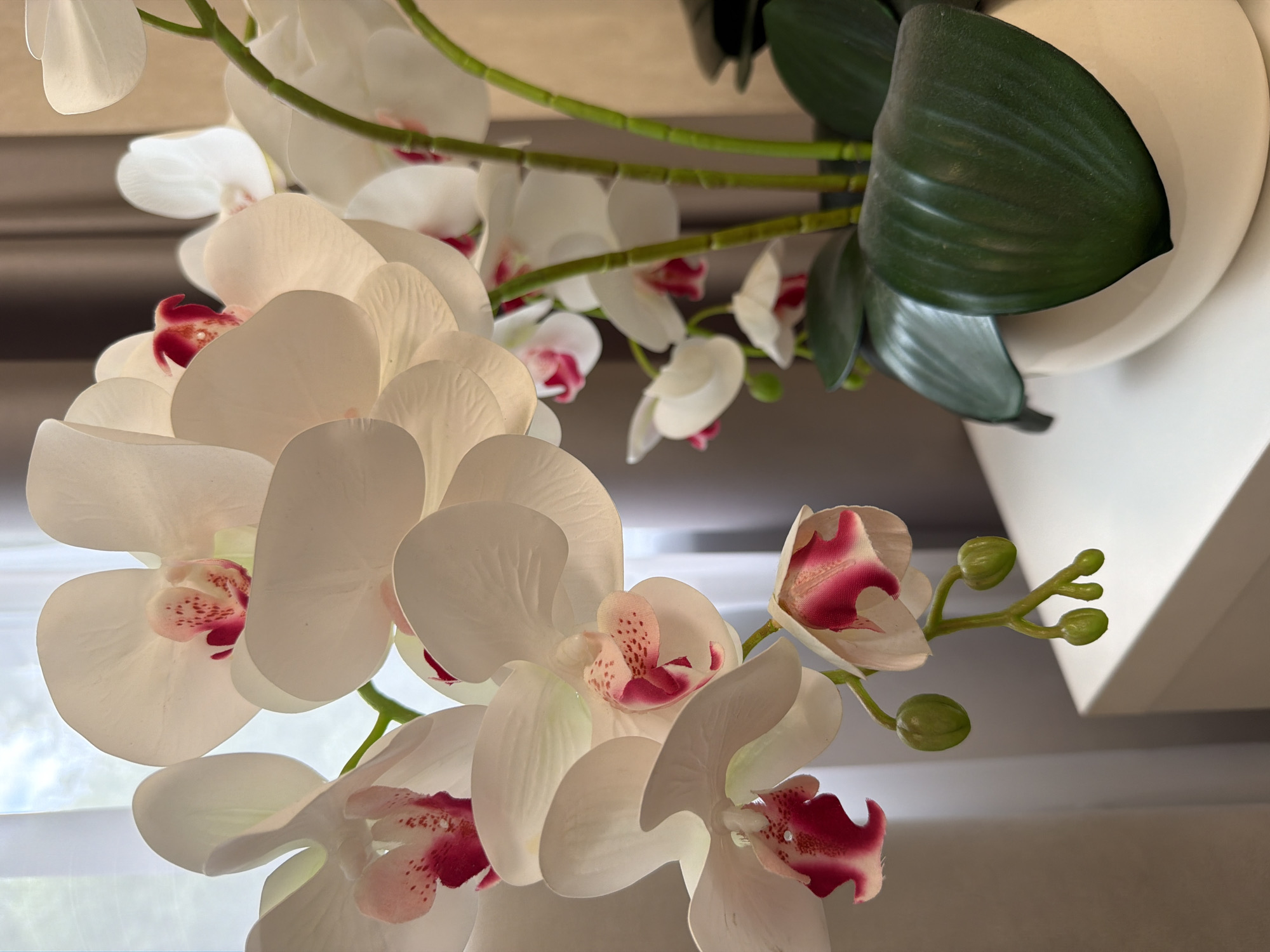 This is a close-up, low-angle photograph of a decorative artificial orchid arrangement. The primary subjects are numerous white orchid blossoms with deep pink accents in their centers, along with several green buds on slender stems. Large, dark green orchid leaves are also visible, some appearing to emerge from a white, minimalist planter or decorative element that is partially in the frame. The orchids are suspended, suggesting they are part of a hanging display or a decorative artificial plant. The lighting is bright and diffused, highlighting the delicate texture of the petals and the glossy sheen of the leaves. The background consists of muted, soft tones, including what appears to be a window with sheer curtains and horizontal blinds, suggesting an indoor setting, possibly a home or office. There is no text visible in the image. The overall mood is serene and decorative.