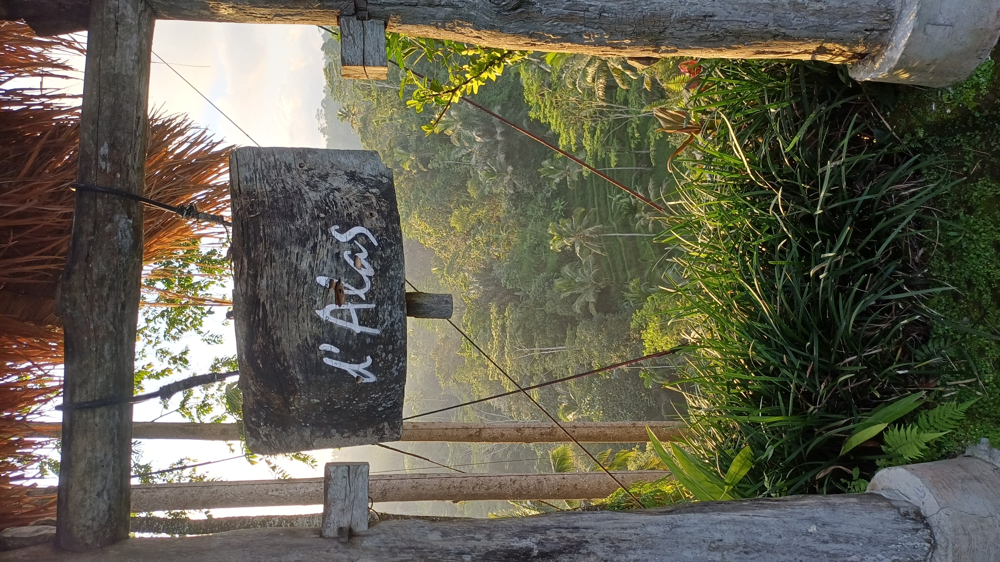 The image captures a view in Tegallalang, Indonesia. A sign reading "L'Alas" is prominently displayed, constructed from a dark, weathered piece of wood. The sign is attached to a wooden structure that appears to be part of a viewing platform, with a thatched roof partially visible. Beyond the platform, a dense tropical landscape unfolds, consisting of lush green foliage, palm trees, and terraced rice paddies. The scene is bathed in soft sunlight, suggesting either early morning or late afternoon. The overall impression is one of natural beauty and tranquility.
