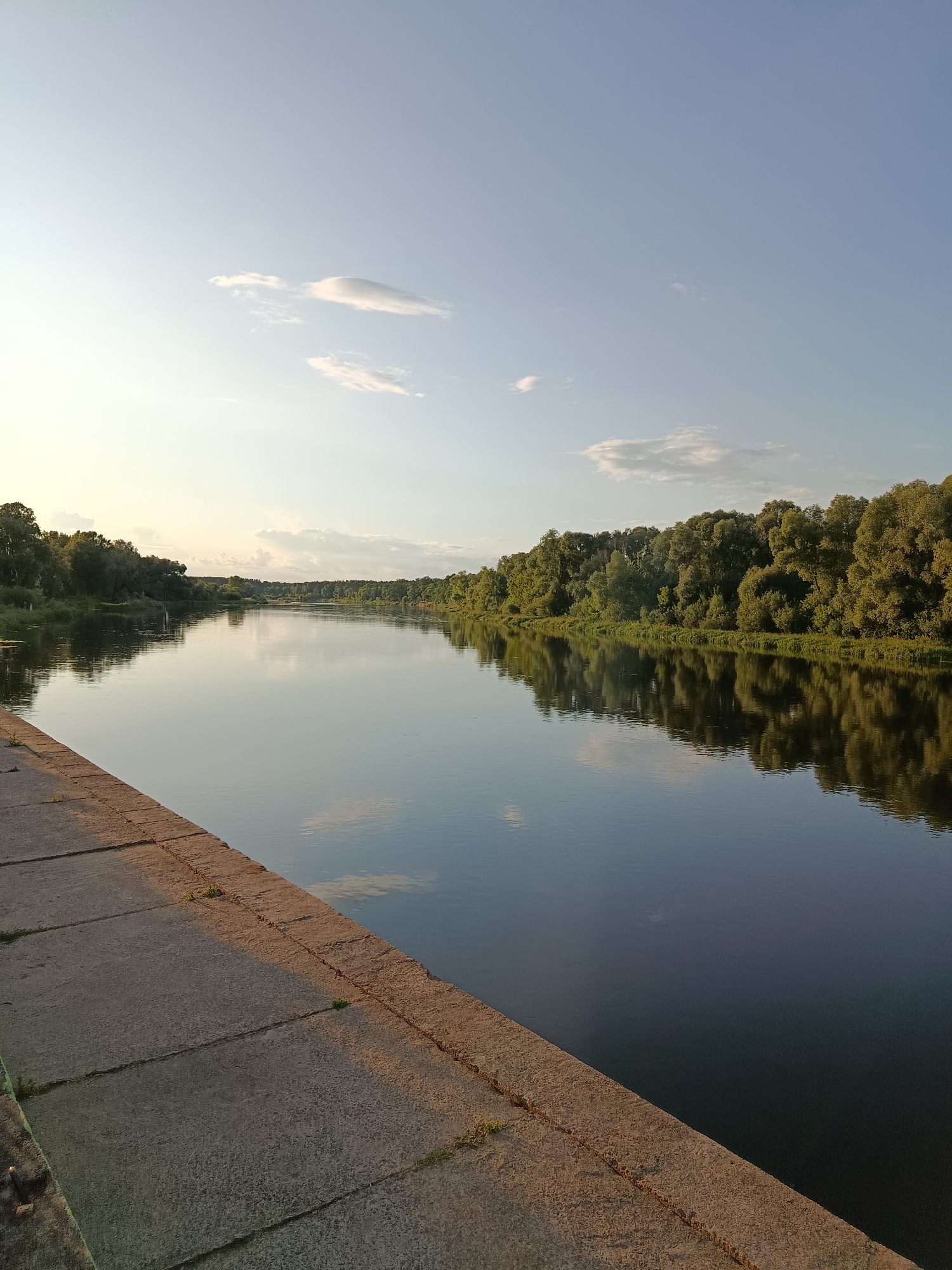 The image captures a serene view of the Berezina River in Svietlahorsk, Belarus, during what appears to be late afternoon or early evening. The river is wide and calm, with its surface reflecting the sky and the lush green trees lining its banks. On the left side of the frame, a paved embankment, composed of large rectangular concrete slabs, slopes gently down towards the water. Sparse vegetation, like small blades of grass, is visible growing in the cracks between the concrete slabs. The sky is a pale blue with a few wispy clouds. The trees on the opposite bank are dense and form a continuous line, their reflections creating a mirrored image on the water's surface. The overall atmosphere is peaceful and natural. There are no people visible in the image.