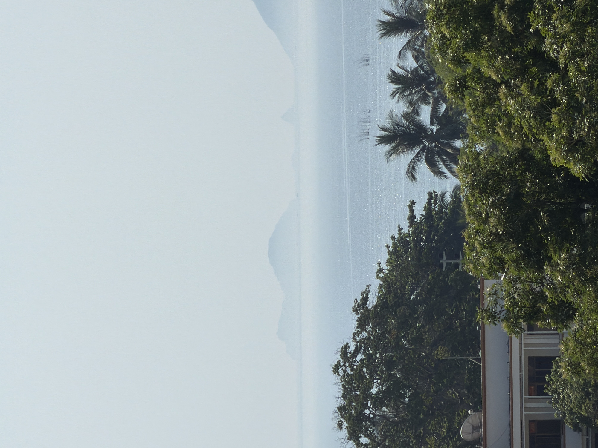 The image captures a serene view of the ocean with distant islands shrouded in haze, likely from the city of Nha Trang, Vietnam. In the foreground, lush green trees and the rooftop of a building with a satellite dish are visible. The water is sparkling under the sunlight, and some reeds or thin vegetation can be seen emerging from the sea in the mid-ground. The overall atmosphere is peaceful, with the distant mountains creating a soft, ethereal backdrop.