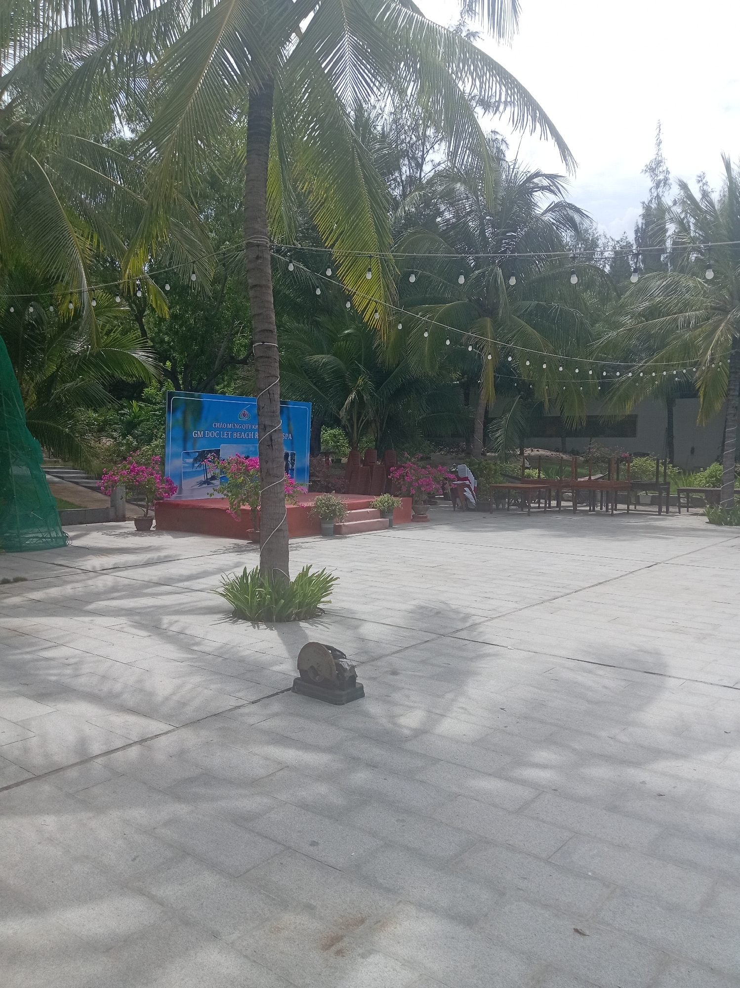 This image captures an outdoor scene at what appears to be a resort or event space in Dong Ninh Hoa, Vietnam. The foreground is dominated by a large, paved courtyard made of light gray rectangular tiles, with shadows of palm trees cast across it. To the left, a green mesh structure is visible.
In the mid-ground, a raised red stage is set up with a blue backdrop displaying text in Vietnamese, including "CHÀO MỪNG QUÝ KHÁCH" and "GM DOC LET BEACH RESORT & SPA". Two potted plants with vibrant pink flowers flank the stage. A single palm tree with a textured trunk, wrapped with white rope, stands prominently in front of the stage. Behind the stage, stacks of red chairs are visible, and further back, several wooden tables and chairs are arranged.
The background consists of dense tropical foliage, primarily palm trees and other greenery, suggesting a warm climate. String lights with white bulbs are hung across the trees, indicating preparation for an evening event or ambiance. The sky is overcast, with a bright, diffused light. A person in a white outfit with a red sash is partially visible near the tables and chairs in the background, possibly an employee or attendee. In the far right, there are more stacks of red chairs. On the tiled ground in the lower right quadrant, a rusted metal cutting tool sits on a dark base.