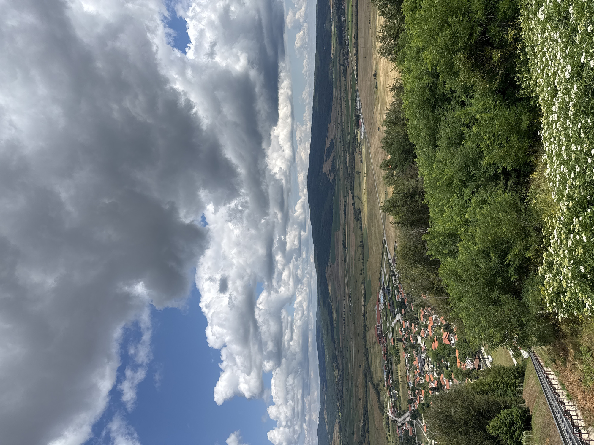 The image depicts a panoramic view from an elevated position overlooking the town of Belchin, Bulgaria. The foreground is dominated by lush green trees and a dense field of small white wildflowers. A set of metal tracks, likely part of a funicular or ski lift, descends diagonally from the lower left of the frame. Beyond the immediate vegetation, a cluster of red-roofed houses forms the town of Belchin, nestled in a valley. A road curves through the town, leading towards a larger complex with modern buildings and a swimming pool. The middle ground transitions into vast agricultural fields, displaying a patchwork of brown and green hues, characteristic of harvested and growing crops. In the distance, rolling hills covered in dense forests form the backdrop, meeting a sky filled with dramatic, dark grey clouds interspersed with patches of bright blue sky and white cumulus clouds. The overall scene suggests a rural landscape under a dynamic, possibly changing weather condition.