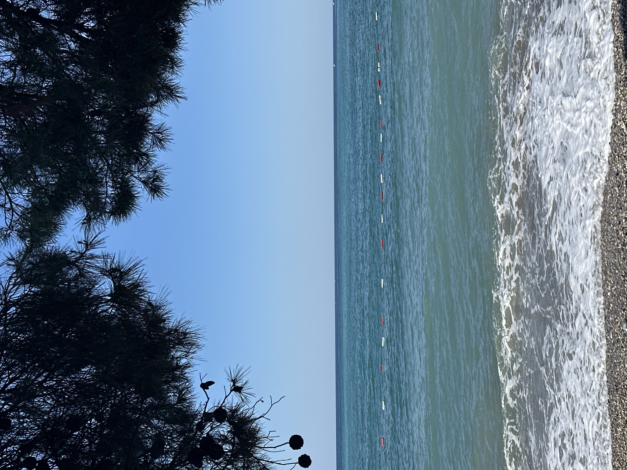 The image shows a section of a beach, possibly in Šušanj, Montenegro. The sky is clear blue. The sea stretches from the middle of the frame to the right, marked by a series of red and white buoys. Waves are visible along the shoreline, which consists of pebbles. On the left side of the image, a dark silhouette of a pine tree occupies a significant portion of the frame.