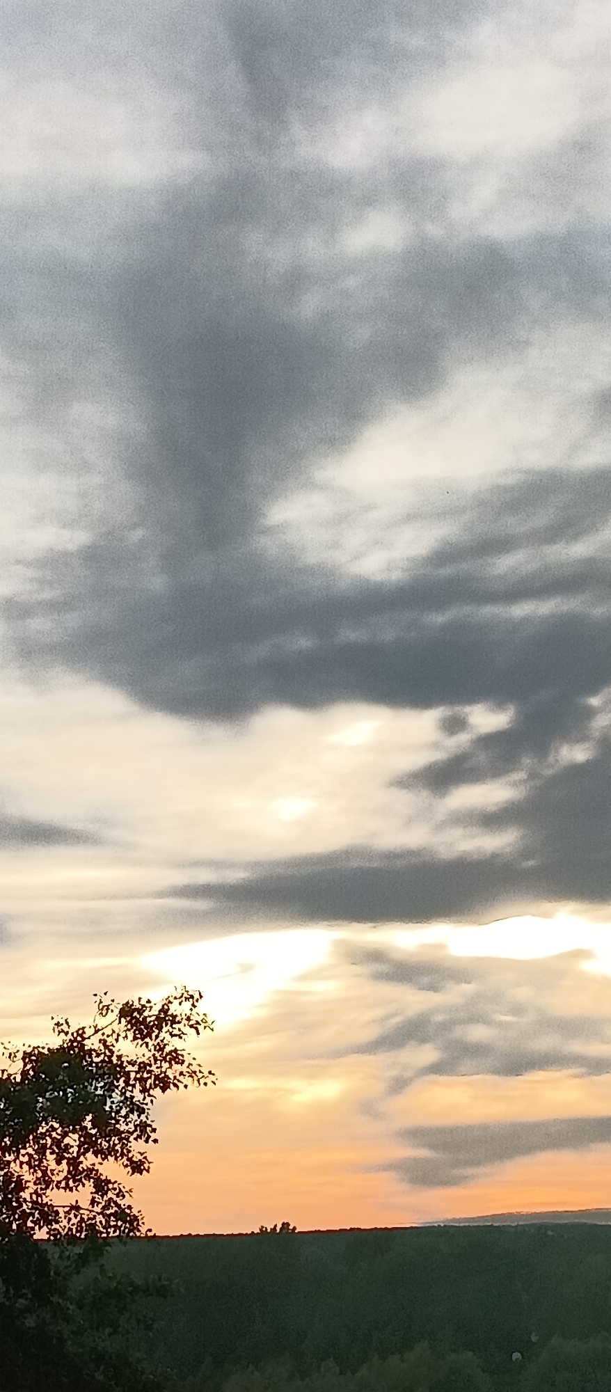 The image shows a landscape at sunset with a partly cloudy sky. A tree with sparse foliage is visible in the lower left corner. Below the sky, a dark treeline stretches across the horizon. The sky is a mix of dark gray clouds and lighter orange hues, indicating the sun is setting. No people or specific objects are visible. The location is in the city of Unknown, Unknown.