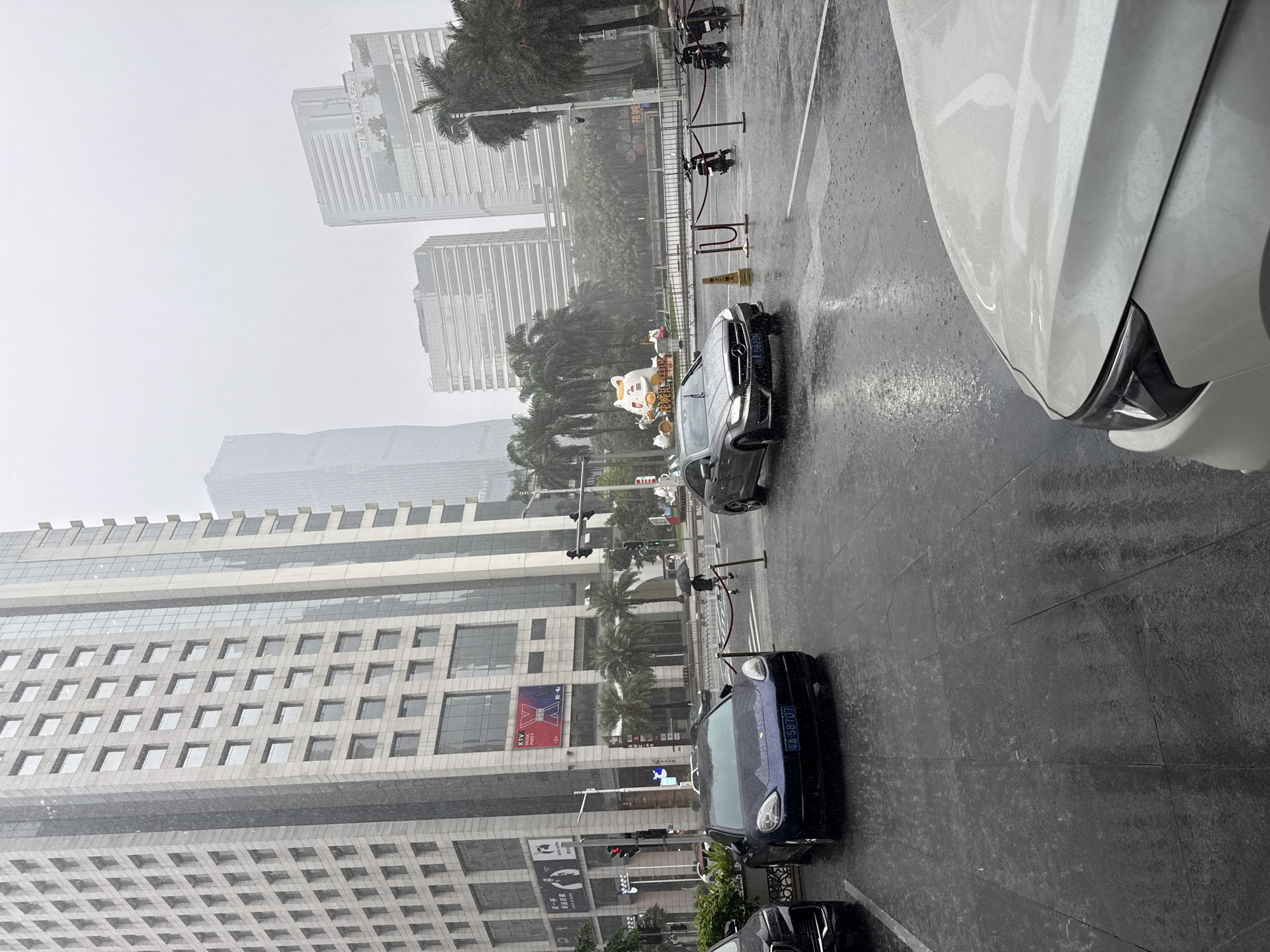 The image depicts a street scene in Tianhe District, China, under heavy rain. The perspective is from a slightly elevated position, looking down and across a wet street. Several cars are visible, including a dark blue Porsche with license plate "A-SB707" parked on the right side of the frame, and a silver Mercedes-Benz in the middle of the road. Another vehicle, a white car, is partially visible on the far right, suggesting it is parked or moving very close to the vantage point.
The activity taking place is primarily the movement of vehicles on a rainy day, with the wet road surface reflecting the overcast sky and surrounding lights. There are palm trees lining the street, and in the background, large, modern buildings with glass facades dominate the skyline. One building prominently displays a large advertisement with the text "KTV MUSIC" and "A" in a red and white graphic. Another building has a sign with Chinese characters. A large, light-colored statue, possibly a cat, is visible in a plaza area, surrounded by smaller figures.
The weather is clearly inclement, with visible raindrops on the ground and in the air, and the sky is uniformly gray and overcast, suggesting it is daytime. The overall mood conveyed is one of a typical, somewhat gloomy, urban day during a downpour. The presence of traffic lights and street barriers indicates an urban street environment. The architecture of the buildings suggests a contemporary urban setting in China.