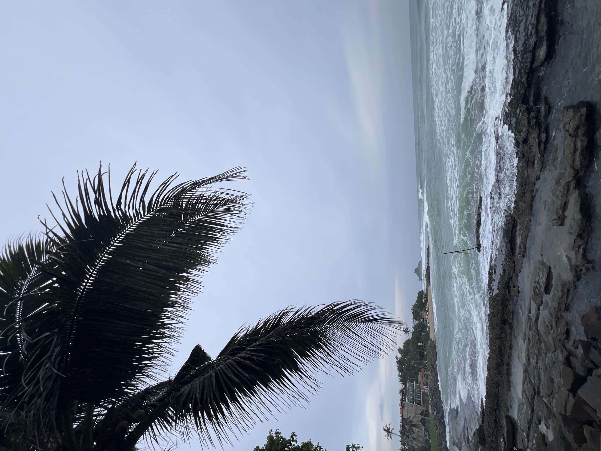 The image shows a coastal scene in Goviyapana, Sri Lanka. In the foreground, two dark palm fronds partially obscure the view. To the right, a rocky coastline meets a turbulent ocean with white foamy waves. Further in the distance, a sandy beach is lined with vegetation and buildings. A single wooden pole stands in the water near the shore. The sky is overcast with varying shades of gray.