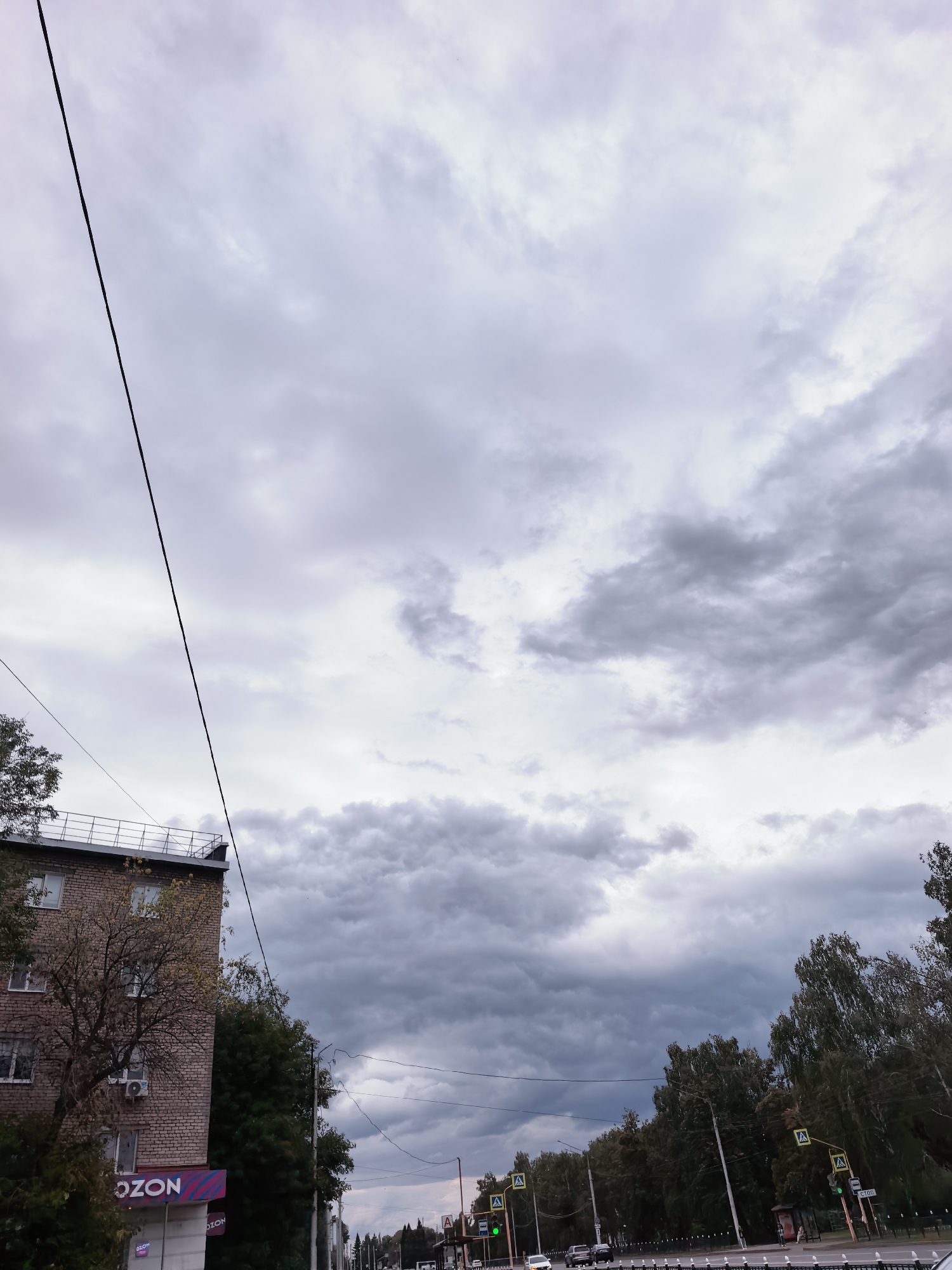 The image depicts a street scene in Sterlitamak, Russia, under a cloudy sky. On the left, a brick apartment building with multiple windows and an air conditioning unit is visible. A tree with sparse yellowing leaves stands in front of the building, and a sign for "OZON" is displayed on the ground floor.
A power line runs diagonally across the upper left portion of the frame. The street in the foreground is lined with trees. Traffic signals and pedestrian crossing signs are present along the road. Several cars are driving on the road, and a pedestrian is waiting at a bus stop on the right side of the image. The overall atmosphere suggests an overcast day.