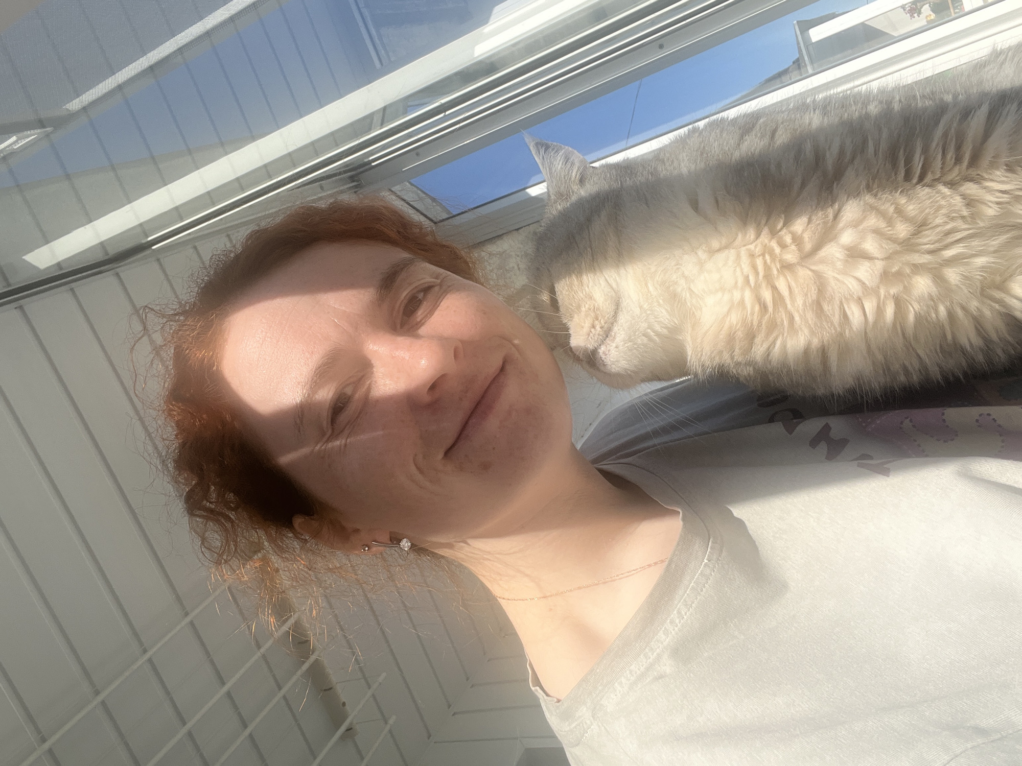 The image shows a woman with red curly hair taking a selfie with a large, fluffy grey and white cat. The woman is smiling slightly at the camera. She is wearing a light grey t-shirt and a delicate necklace. The cat is resting on her shoulder, nuzzling its head against her face. The background consists of a window with multiple panes, possibly a skylight or sunroom. Outside the window, a clear blue sky is visible. The light suggests it is daytime. The location is unknown, and it is impossible to identify the exact location in Chaikovsky, Russia, from this image alone.