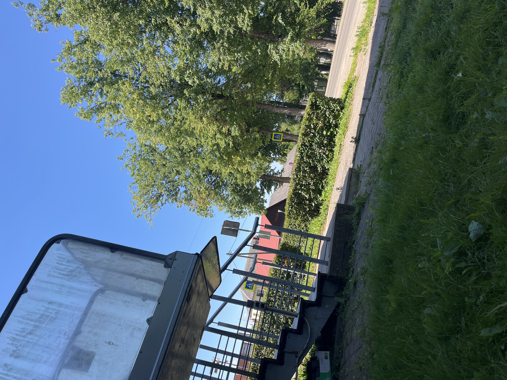 The image shows a bright, sunny day in what appears to be a suburban or semi-rural setting in Ludza, Latvia. The scene is dominated by lush green trees and grass, suggesting a temperate climate and a time of year with abundant vegetation, likely summer.
In the foreground, a portion of a structure with a transparent or frosted covering is visible on the left. To the right, a metal staircase with railings leads downwards, hinting at an elevated walkway, bridge, or perhaps an entrance to a building. The steps themselves are made of dark material, possibly concrete.
Beyond the staircase, a well-maintained green hedge runs parallel to a paved pathway. Further in the background, several mature trees line a road. A distinctive yellow and blue pedestrian crossing sign is mounted on one of the trees, indicating a designated area for people to cross the road. Red-roofed buildings are partially visible behind the hedge and trees, suggesting residential or public structures. The road itself is paved and appears to be relatively quiet.
The overall impression is one of a peaceful, well-kept outdoor environment on a clear, sunny day. There is no visible text other than the symbol on the pedestrian crossing sign. No people are present in the image, and the scene appears to be static, with no specific activity taking place. The strong sunlight casts distinct shadows, further confirming the time of day is likely late morning or early afternoon.