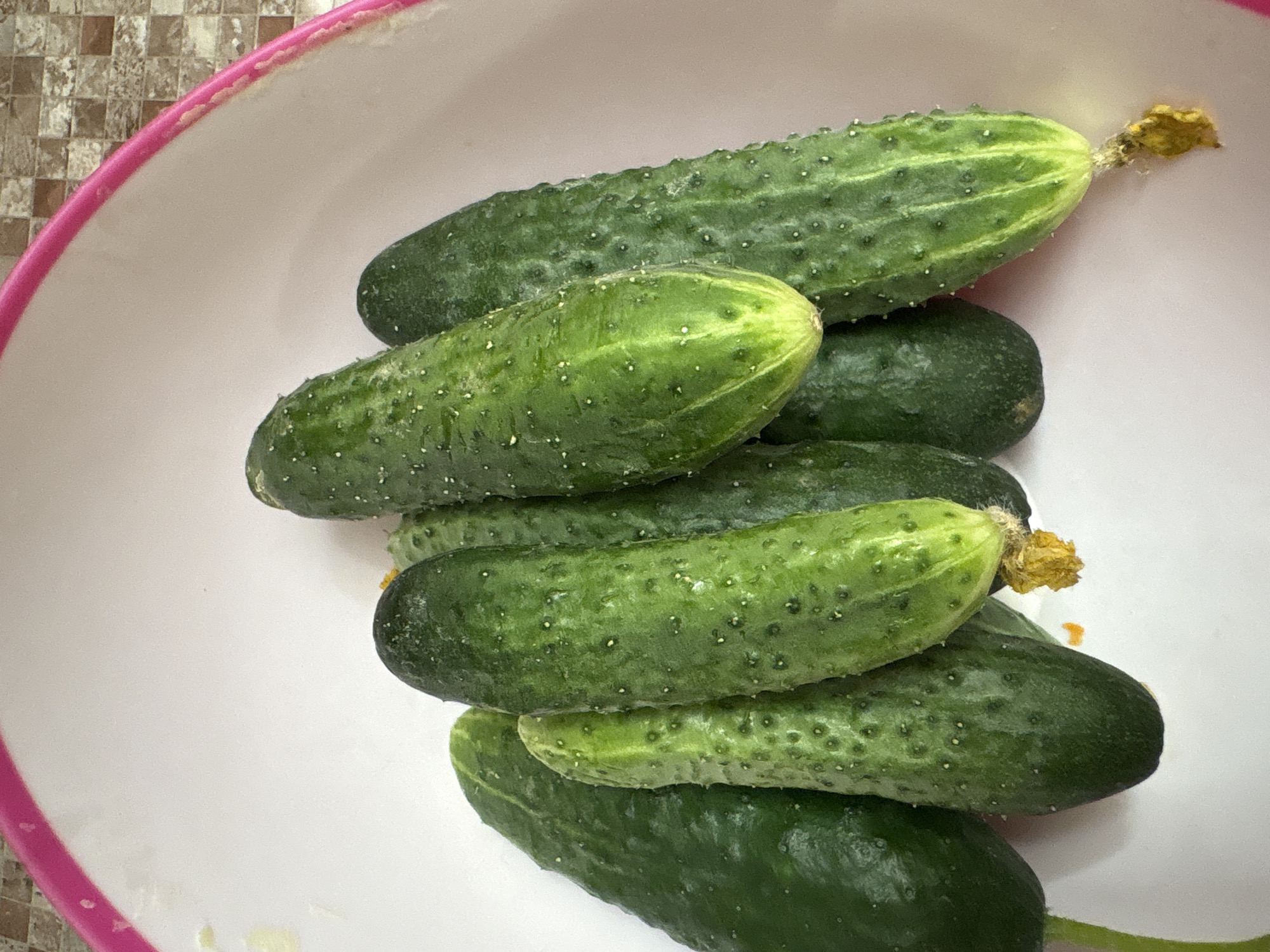 A white bowl with a pink rim contains a pile of seven green cucumbers. The cucumbers are of varying sizes and shapes, with some appearing smoother than others. Some have remnants of yellow flowers attached to their ends. The bowl is placed on a surface with a checkered pattern, likely a countertop or floor, in a setting that appears to be a kitchen. The overall lighting suggests an indoor environment.
