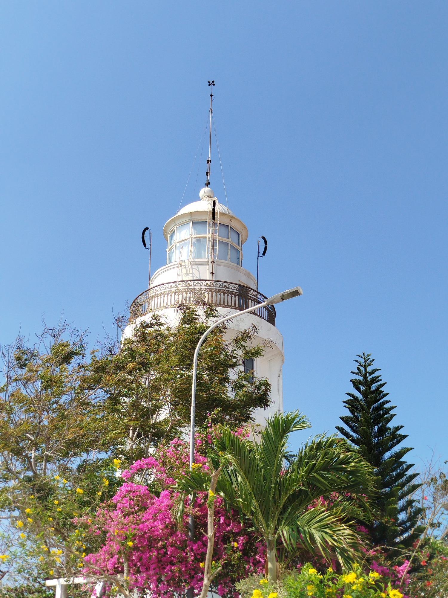 Here is a description of the image:
The image shows the Thủ Thiêm Lighthouse in Ho Chi Minh City, Vietnam. The lighthouse is white with a rounded top and a metal railing around the observation deck. A small weather vane is at the top of a metal pole above the lighthouse. The lighthouse is surrounded by trees and flowers, including pink bougainvillea and a pine tree. A white street lamp is partially obscuring the lighthouse. The sky is clear and blue.