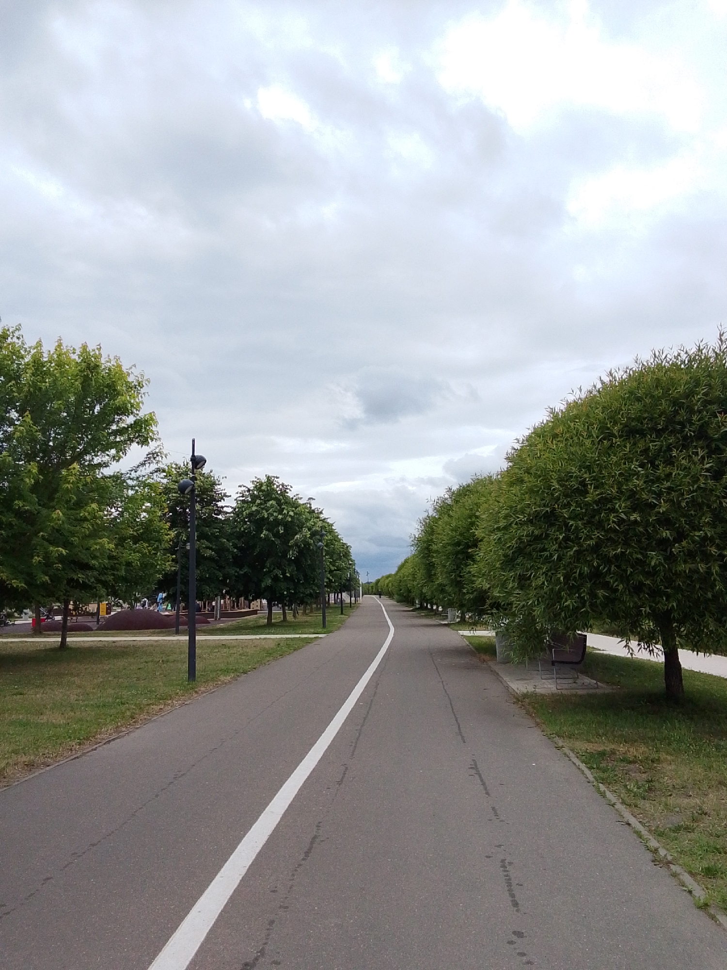A straight, paved pathway, marked with a white line down the center, leads the viewer into a park-like setting. The path is lined with trees on both sides, creating a shaded, natural avenue. On the left, a line of trees with broad green leaves stands tall, with glimpses of what appears to be a playground or recreational area behind them. Lampposts are visible among these trees.
On the right, a row of trees with denser, more rounded canopies are pruned to create a uniform, almost sculpted appearance. Benches are nestled along this side, offering places for rest. The ground is covered in grass, with some areas showing signs of wear.
The sky above is overcast with heavy, grey clouds, suggesting a possibly cool or drizzly day. The lighting is diffused, indicating it is likely daytime, though the sun is not directly visible. The overall mood is peaceful and serene, an inviting scene for a walk or leisurely activity. There is no visible text in the image. The location context of Orekhovo-Zuyevo, Russia, places this scene within a Russian urban park or waterfront area.
