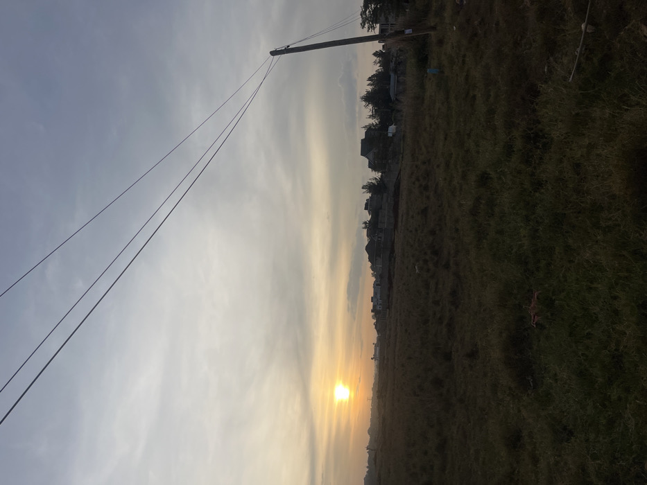 The image depicts an open field in Gitothua ward, Kenya, at sunset. The sun, a bright orange orb, is low on the left horizon, illuminating the sky with yellow and orange hues that transition to pale grey and light blue overhead. Scattered stratiform clouds are visible across the sky.
The foreground and mid-ground consist of an expansive, uncultivated field covered in dry, sparse green and brown grass. Towards the center-left of the field, a small, light-colored object, possibly an animal, is indistinctly visible. On the right side, a weathered wooden utility pole stands vertically, with three dark utility wires extending diagonally across the upper frame, connecting to the pole. Near the base of the utility pole, a segment of blue piping is present on the ground.
In the background, along the distant horizon, a cluster of buildings, appearing to be residential structures of varying sizes and states of completion, are silhouetted against the sky. Dark green trees and foliage are interspersed among these structures. No human figures or active vehicles are discernible.