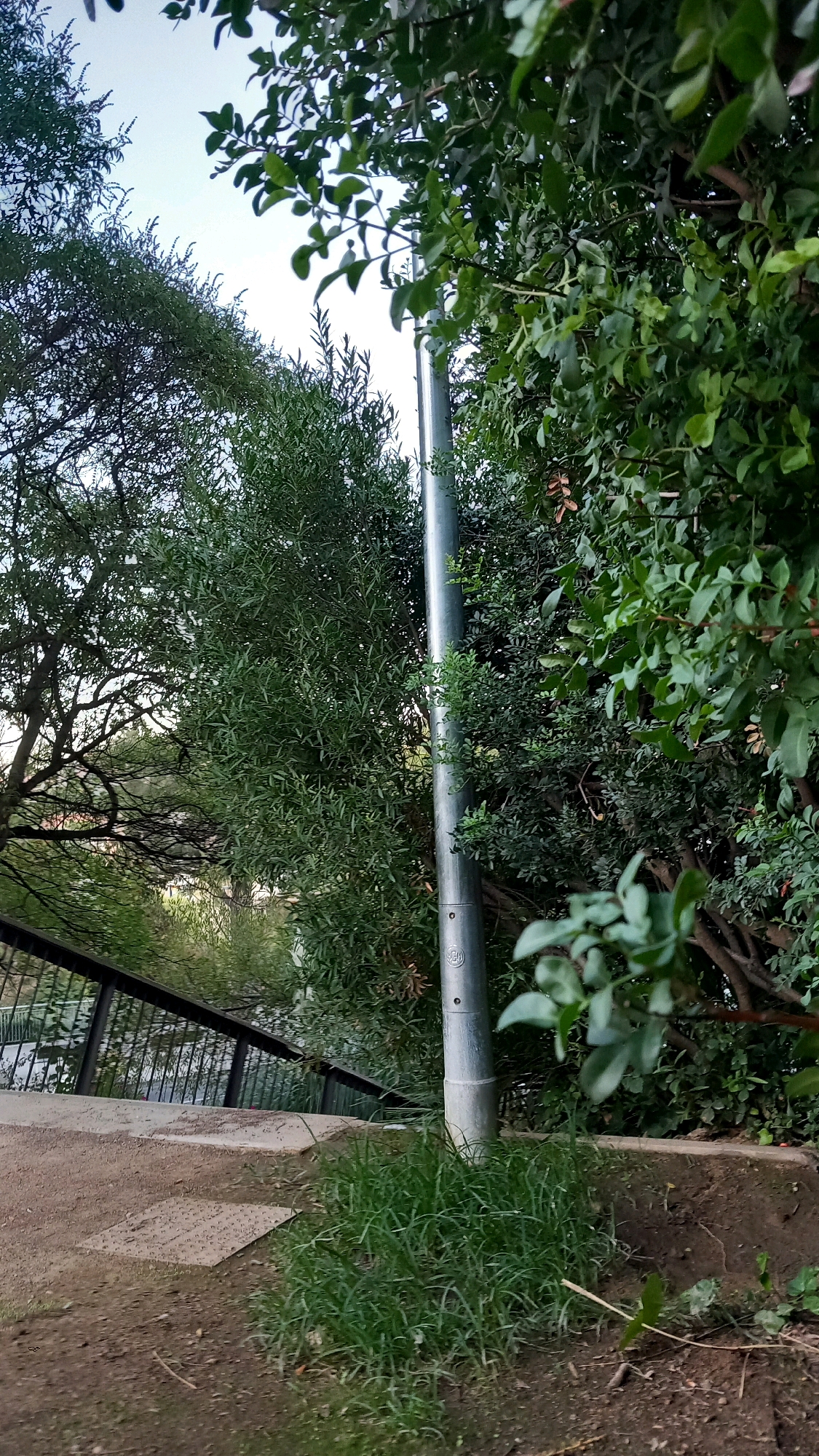 A tall, silver lamppost stands vertically in a park setting, surrounded by lush green foliage. To the left of the lamppost, a black metal railing lines a path that curves downwards. The ground is a mix of dirt and concrete paving stones, with patches of grass growing around the base of the lamppost. The sky above is a pale blue, visible through the canopy of trees. The overall scene suggests a serene outdoor environment, possibly a public park or garden.