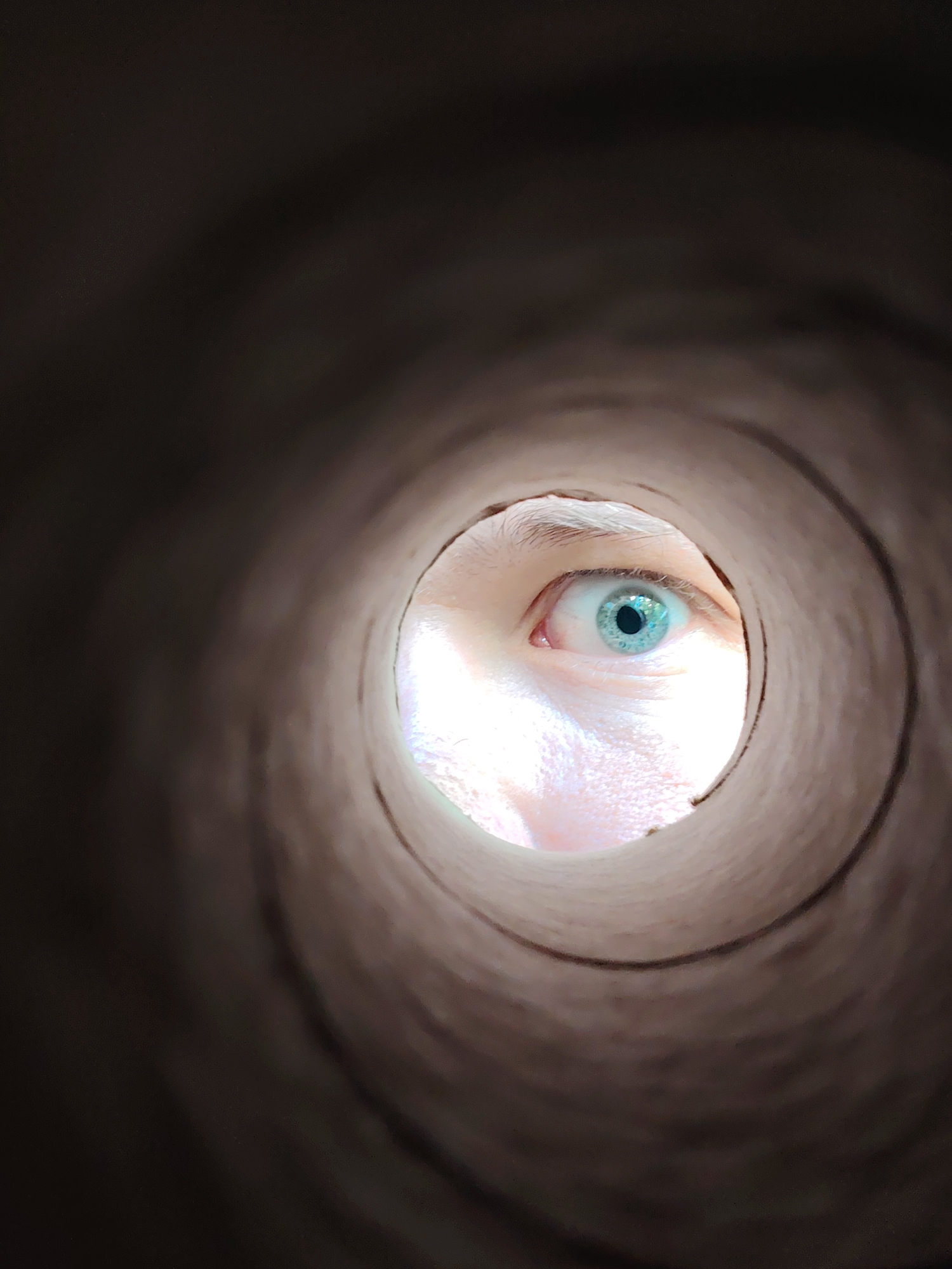 The image shows a close-up view of a human eye looking through a cardboard tube, possibly a toilet paper roll. The iris of the eye is a bright blue with a black pupil. The skin around the eye is fair and slightly pink. The cardboard tube is brown and textured, with the inside appearing lighter and smoother than the outside. The image is dimly lit, with light entering from the opening of the tube, illuminating the eye. The background is dark and out of focus. There is no indication of the location in Chaikovsky, Russia.