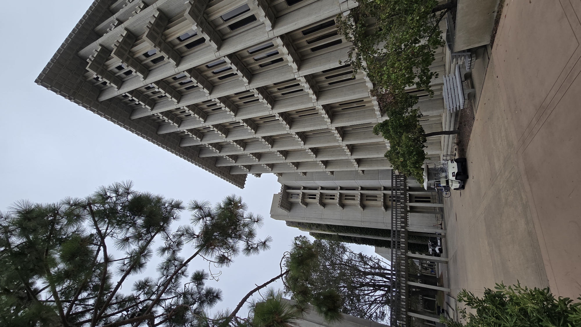 The image shows the modernist architecture of the UCSD Geisel Library in La Jolla, San Diego, California. The building, constructed from precast concrete, features a distinctive brutalist design with repetitive fenestration and cantilevered elements. In the foreground, a paved walkway leads towards the library. A white golf cart is parked on the right side of the walkway, near a concrete bench and some trees. To the left, a walkway is covered by a wooden structure. Pine trees with their needles are visible in the upper left corner, partially obscuring the sky, which is overcast. Other buildings with similar concrete construction and staggered window patterns are visible in the background.